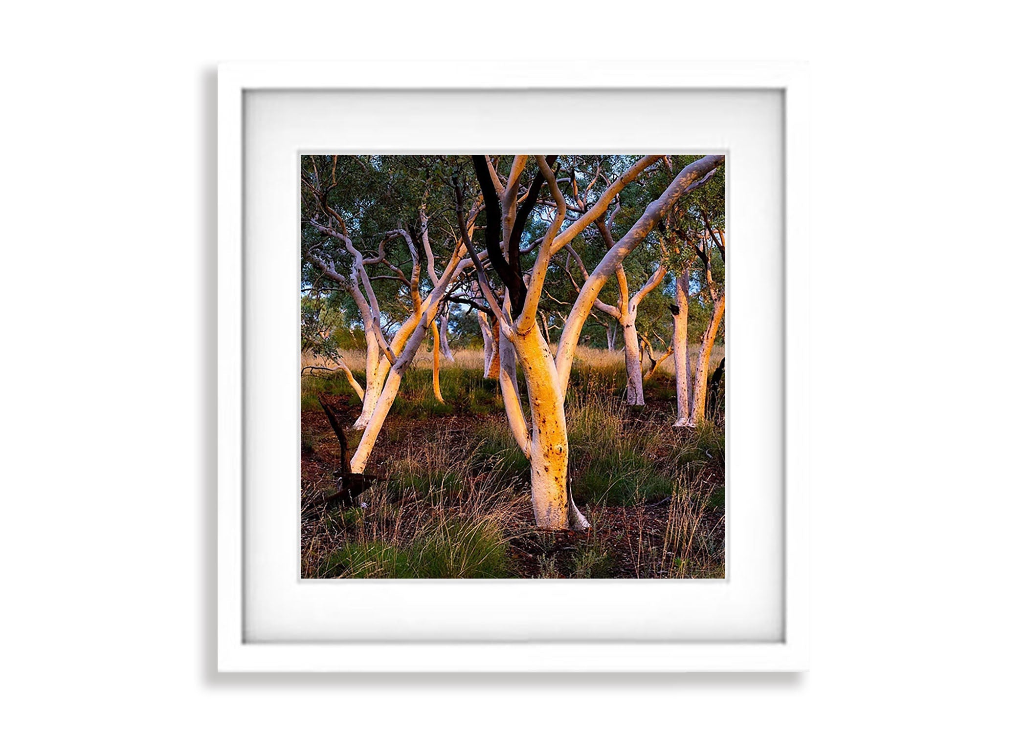 Karijini Cluster - Karijini, The Pilbara