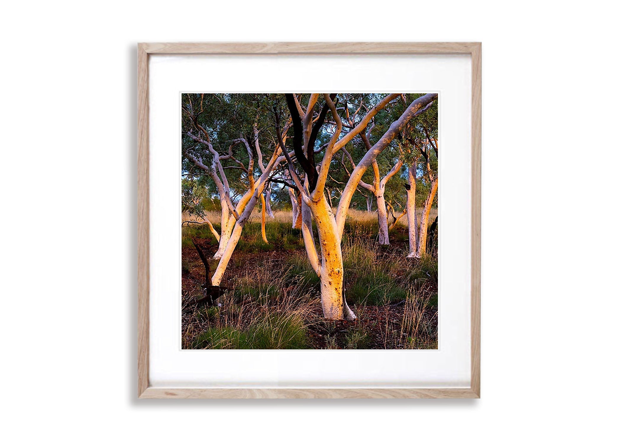 Karijini Cluster - Karijini, The Pilbara