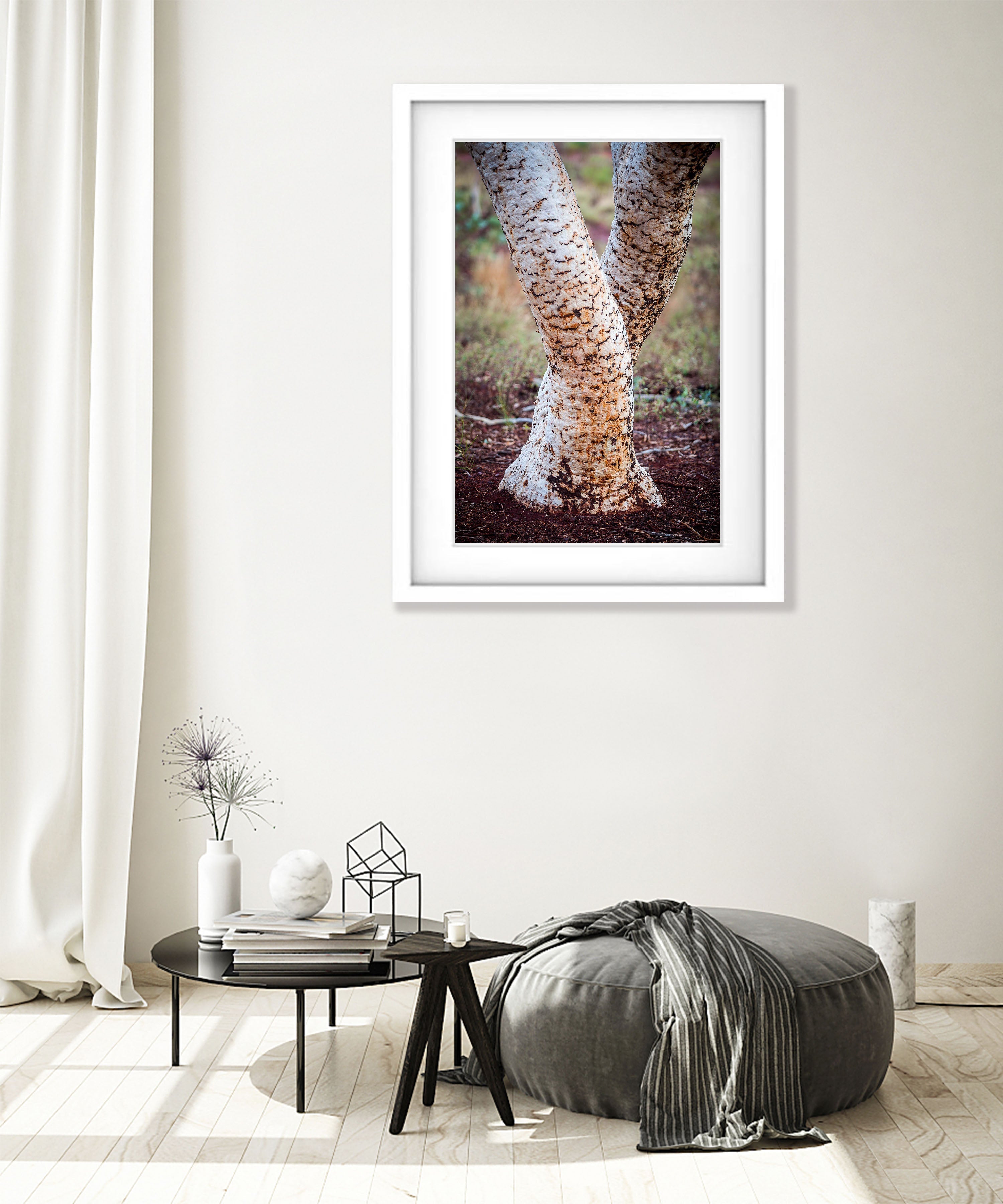 Karijini Tree Trunks, The Pilbara