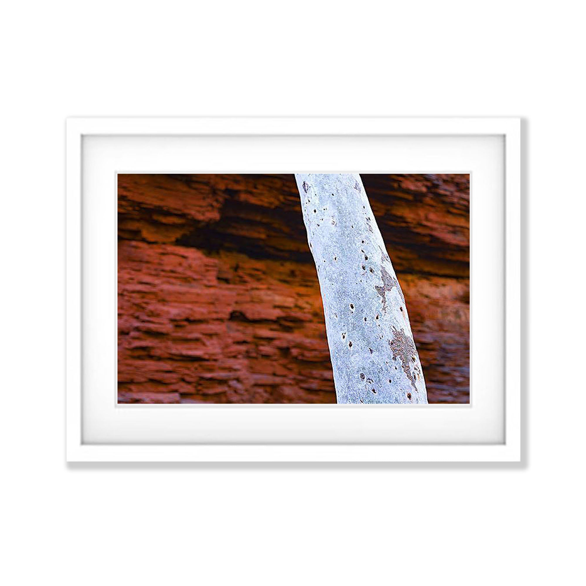 Karijini Trunk - Karijini, The Pilbara