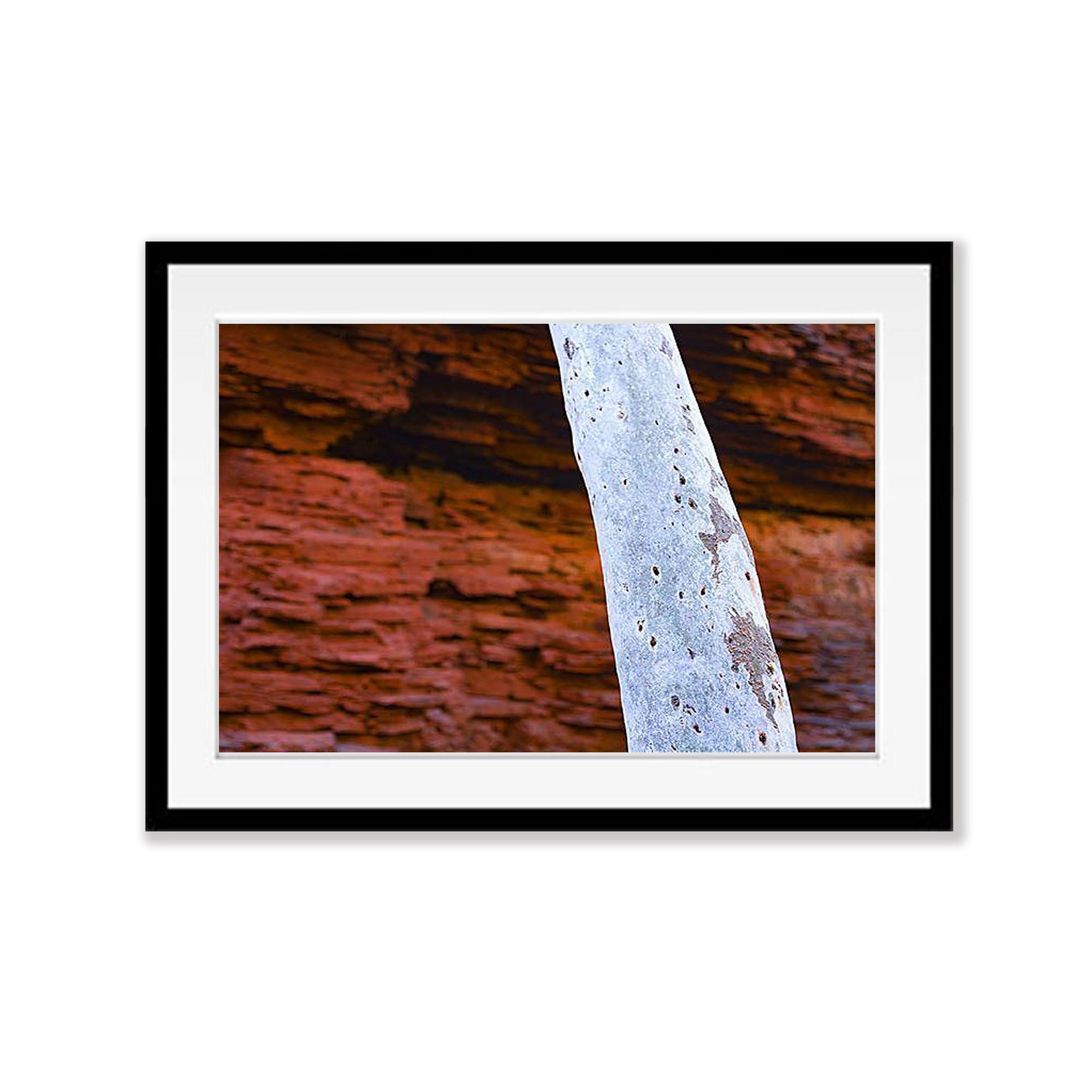 Karijini Trunk - Karijini, The Pilbara
