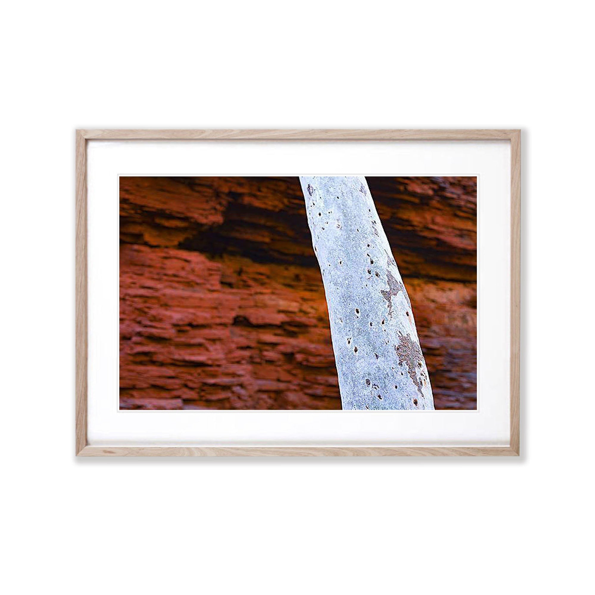 Karijini Trunk - Karijini, The Pilbara