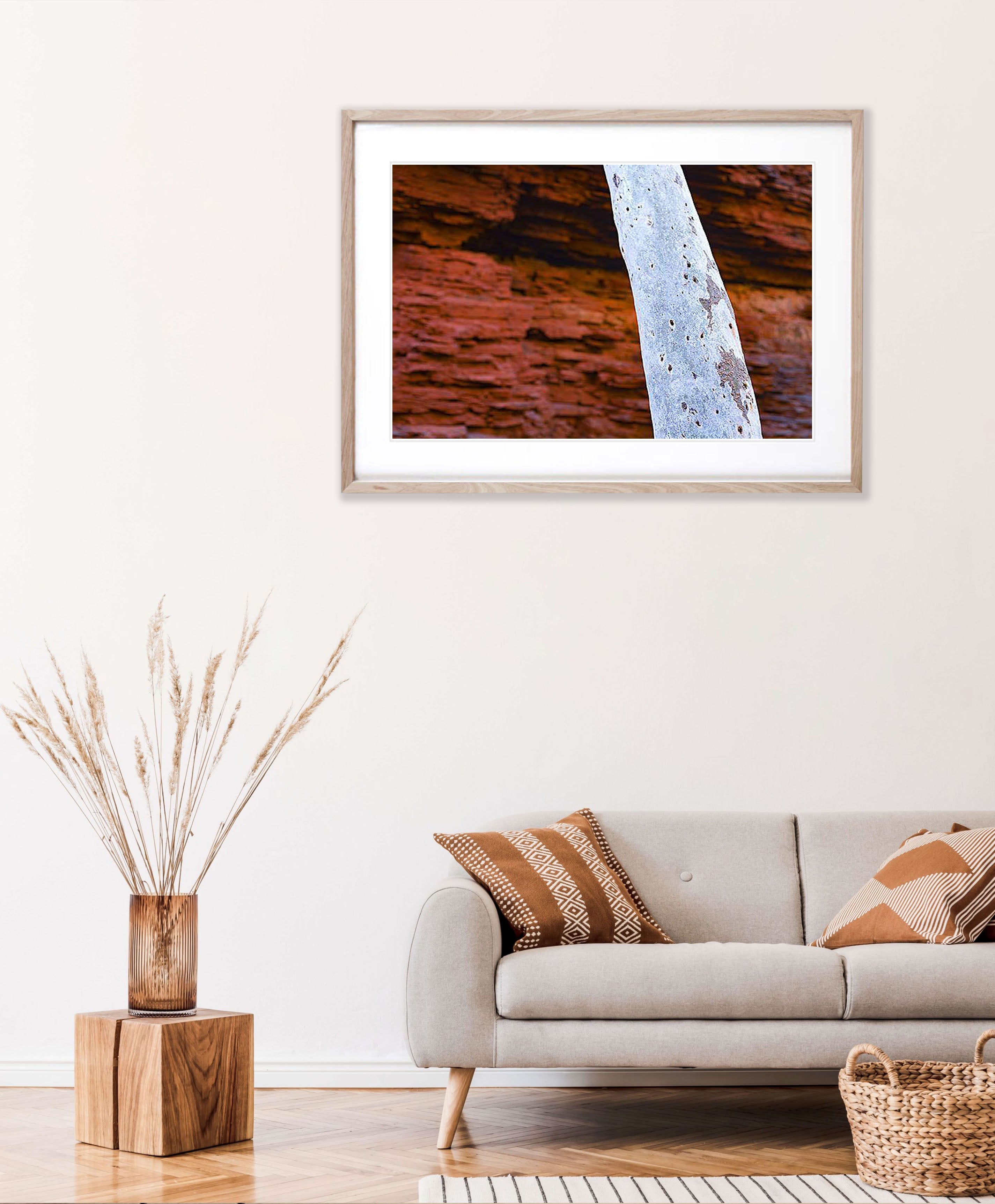 Karijini Trunk - Karijini, The Pilbara