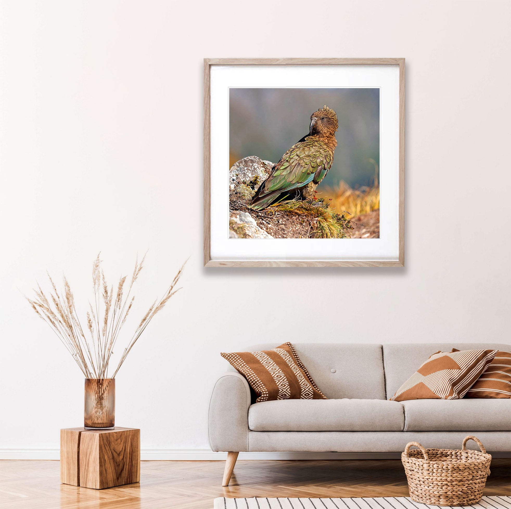 Kea, Milford Track - New Zealand