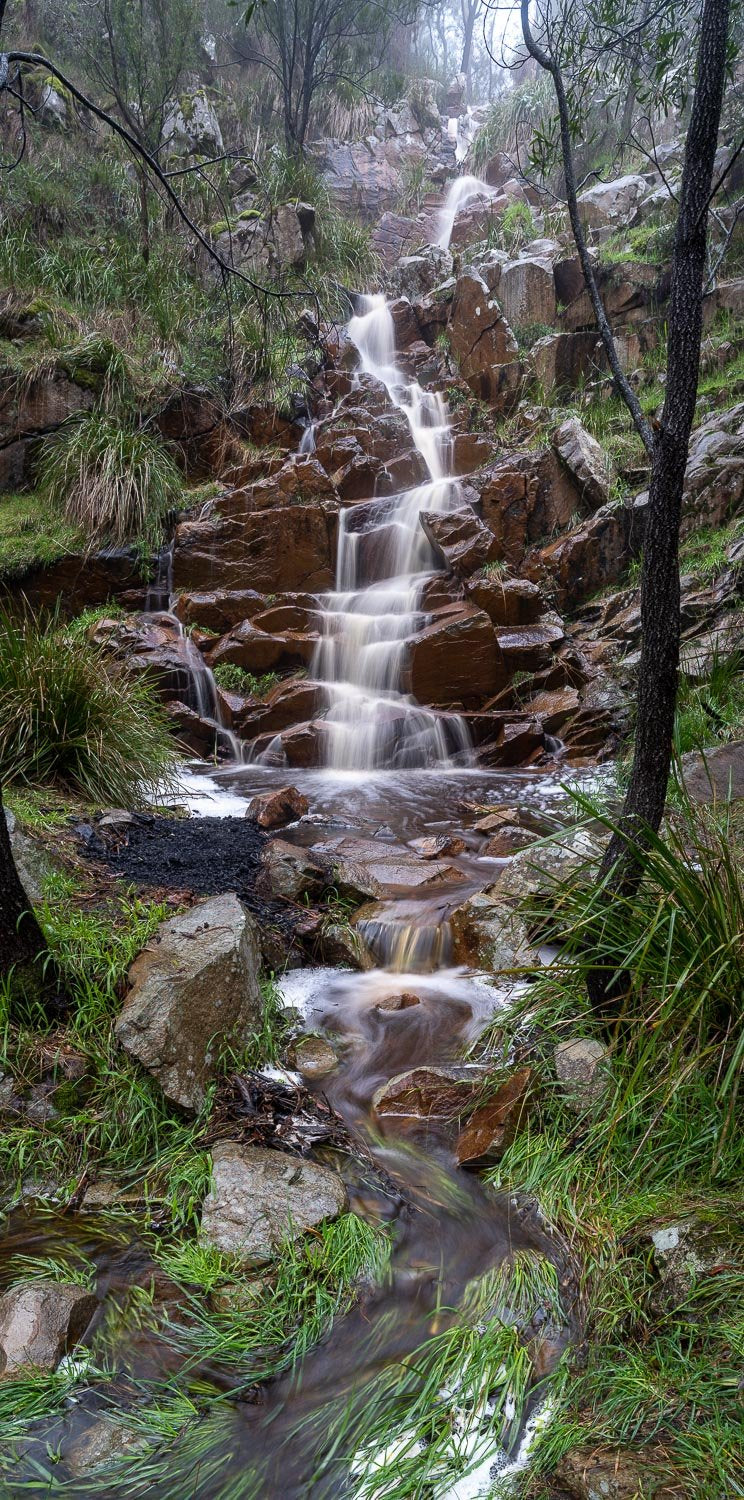 A waterfall coming from a hill area with some trees and plants around, King Falls - Mornington Peninsula, VIC