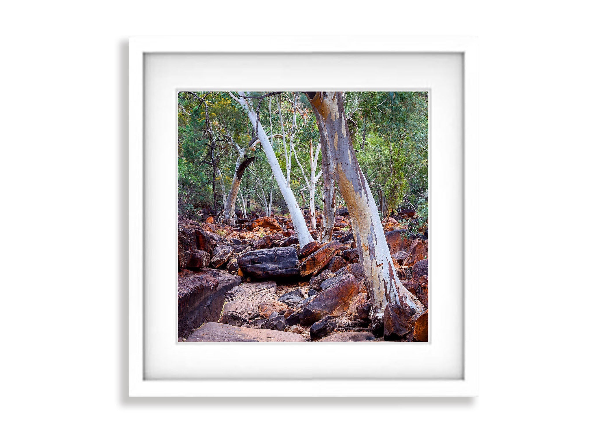 Kings Canyon Gums, Watarrka National Park - Northern Territory