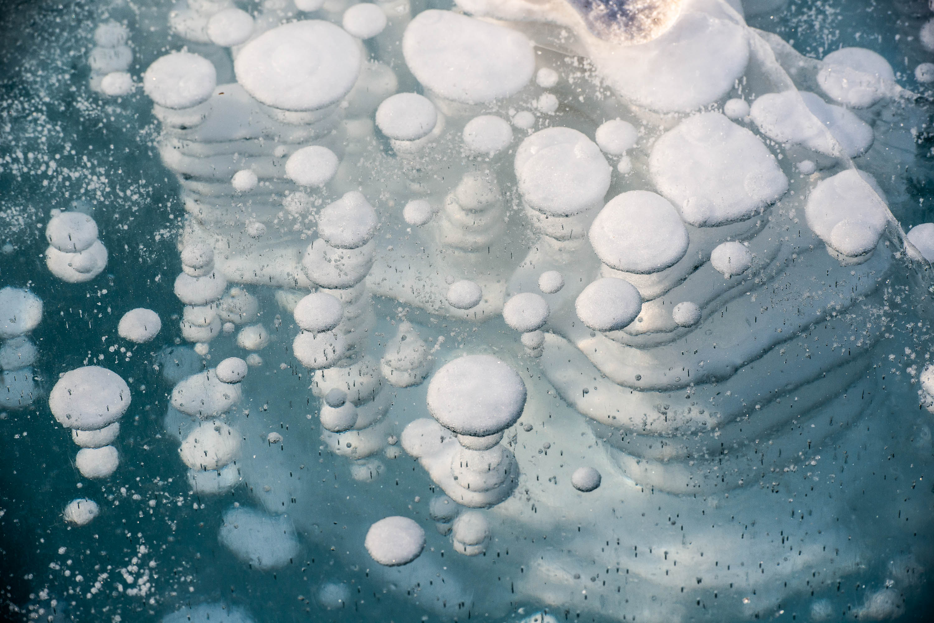 Flat Snowballs floating on the water, Lake Baikal #17, Siberia, Russia