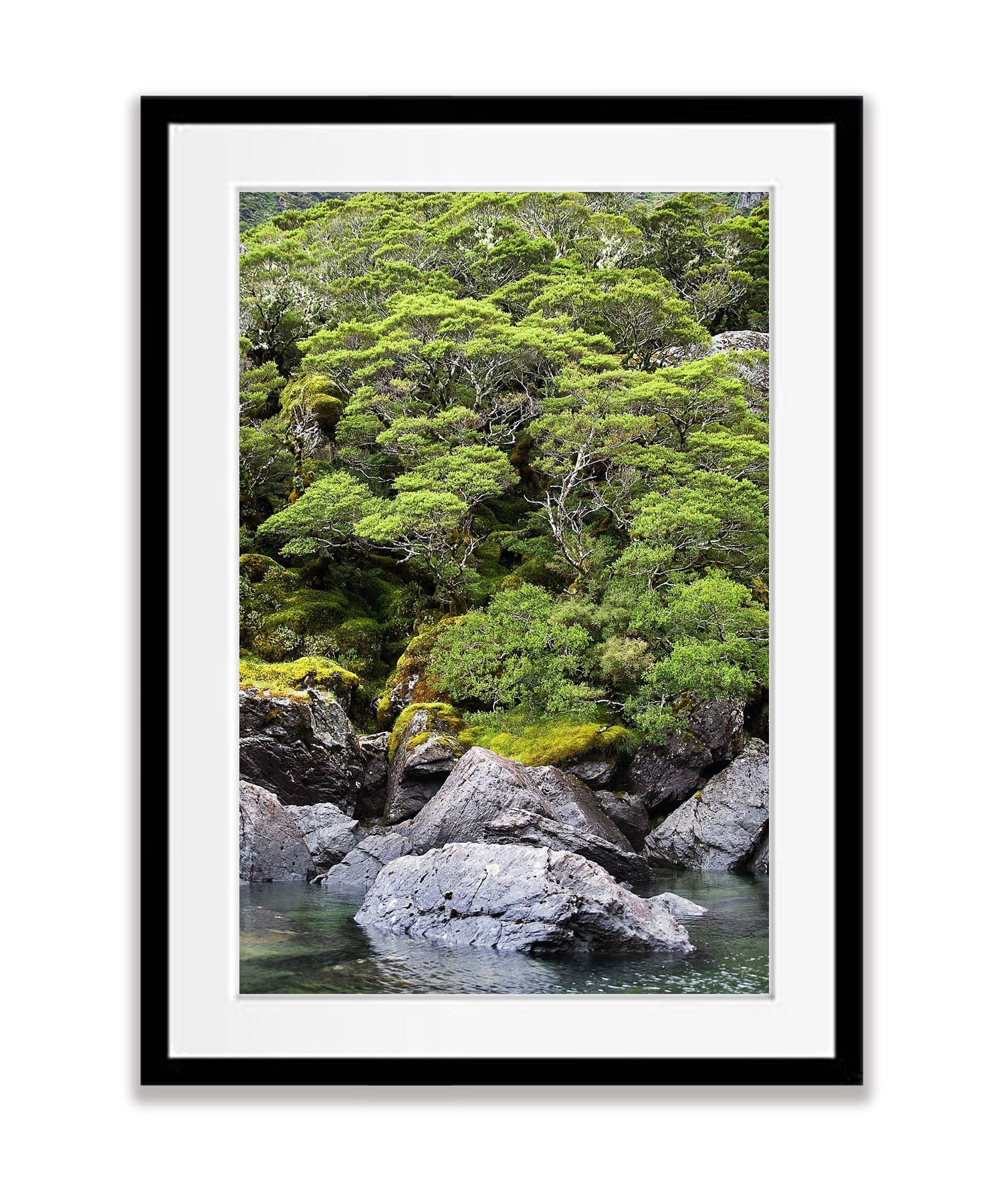 Lake MacKenzie, Routeburn Track - New Zealand