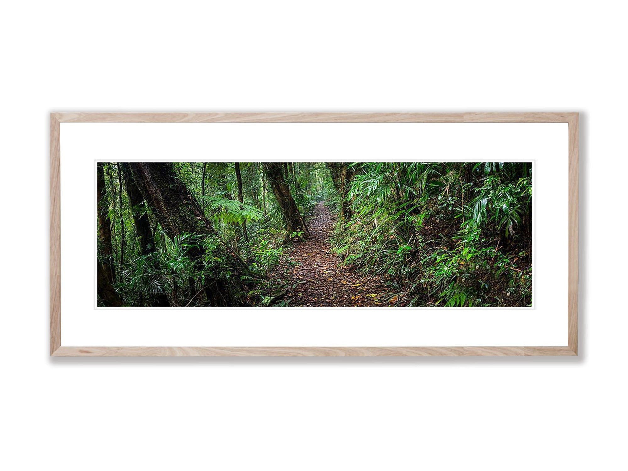 Lamington Allure - QLD