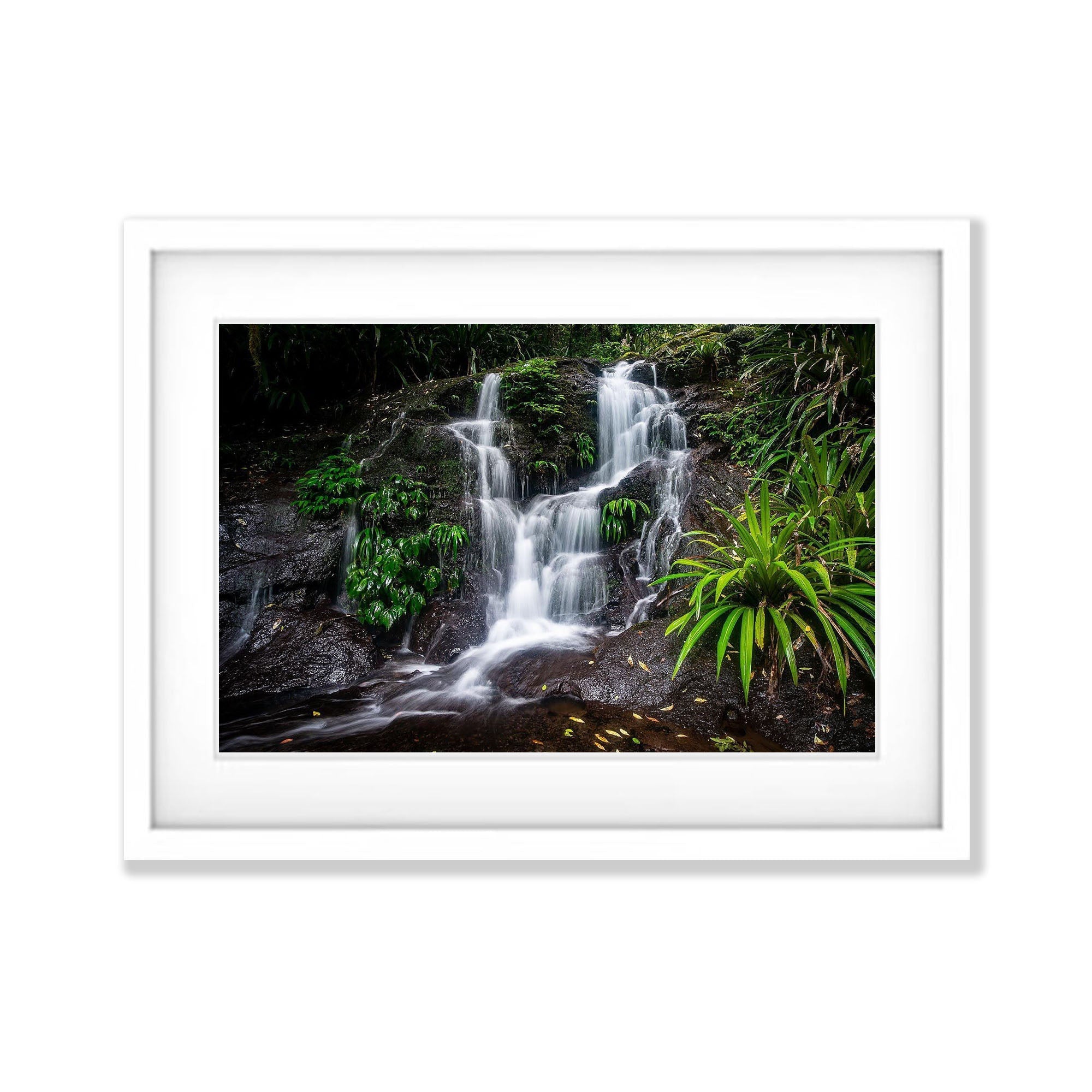 Lamington Cascade - QLD