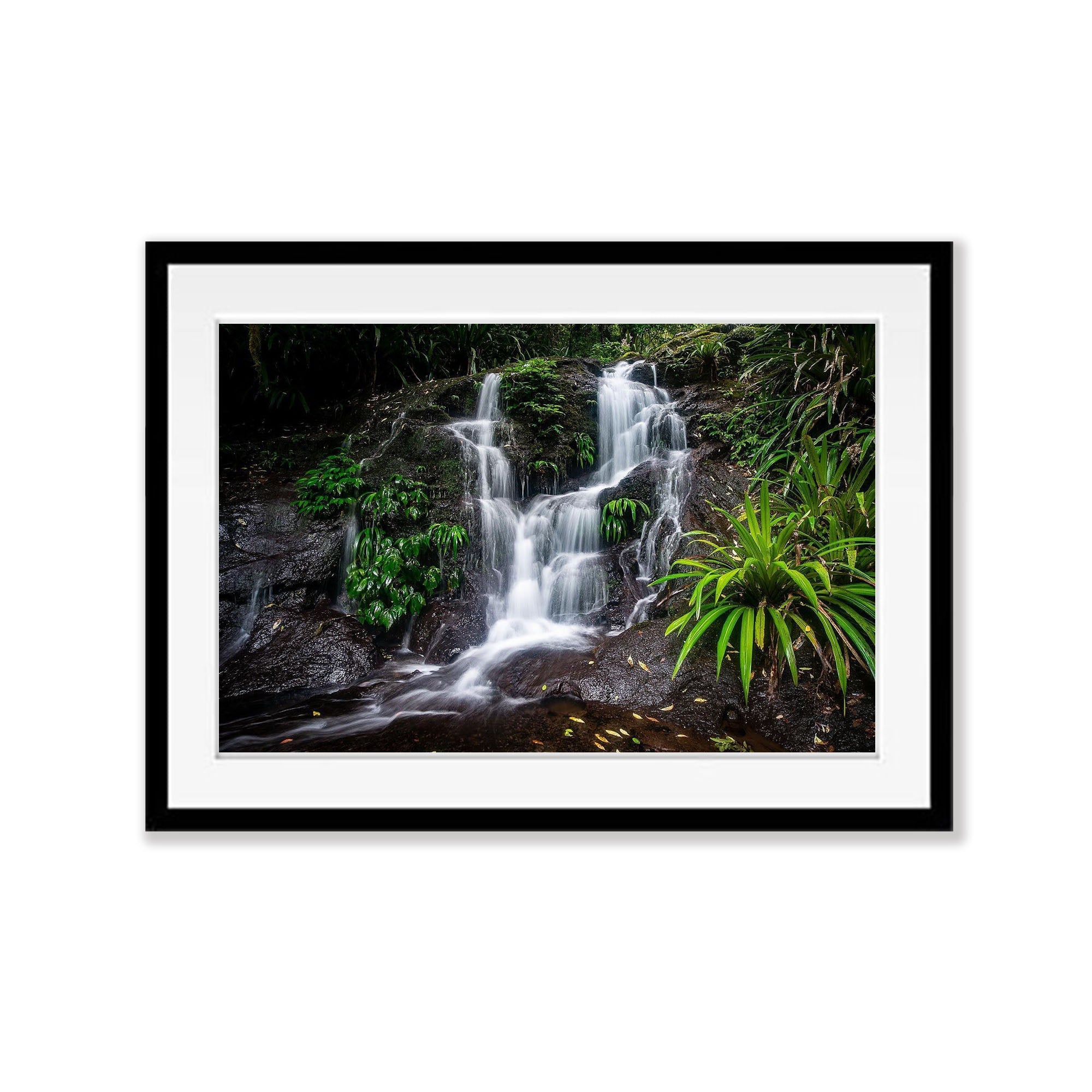 Lamington Cascade - QLD