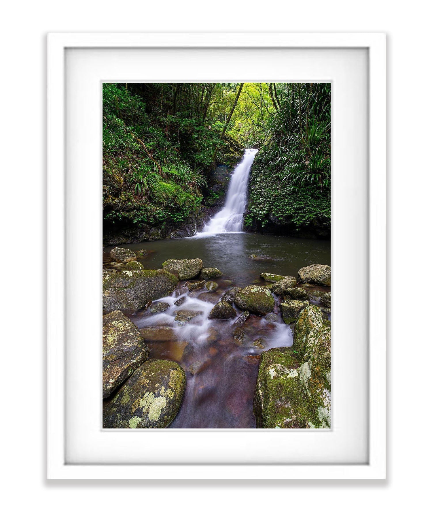 Lamington Falls - QLD