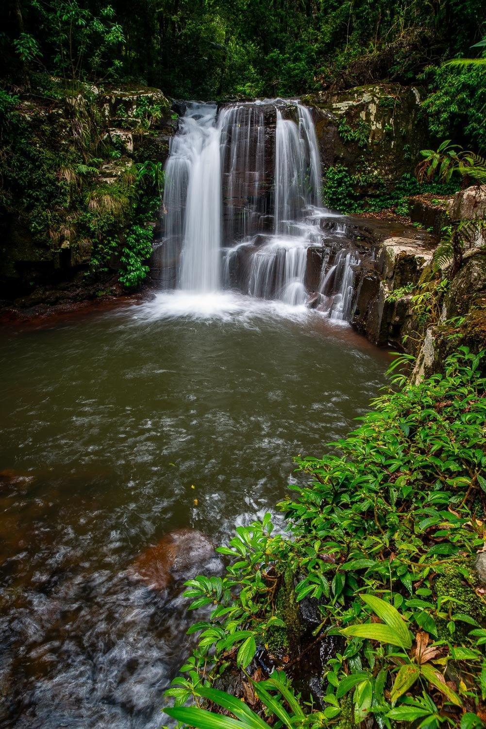 A waterfall from green mounds in a lack, Lamington Hideaway - QLD