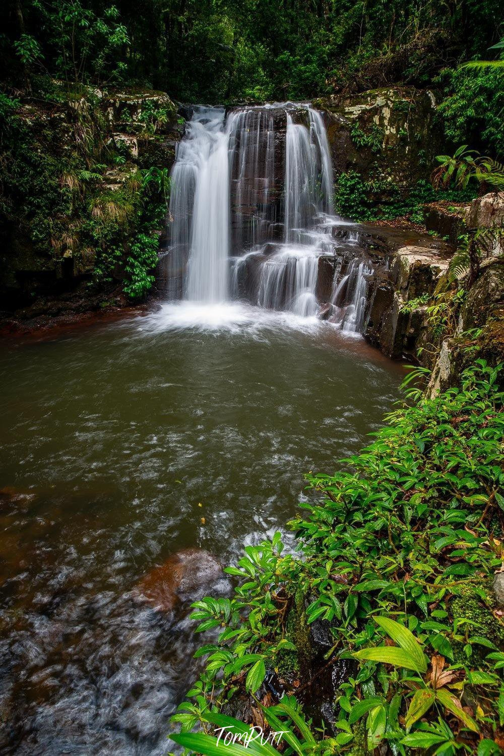 A waterfall from green mounds in a lack, Lamington Hideaway - QLD