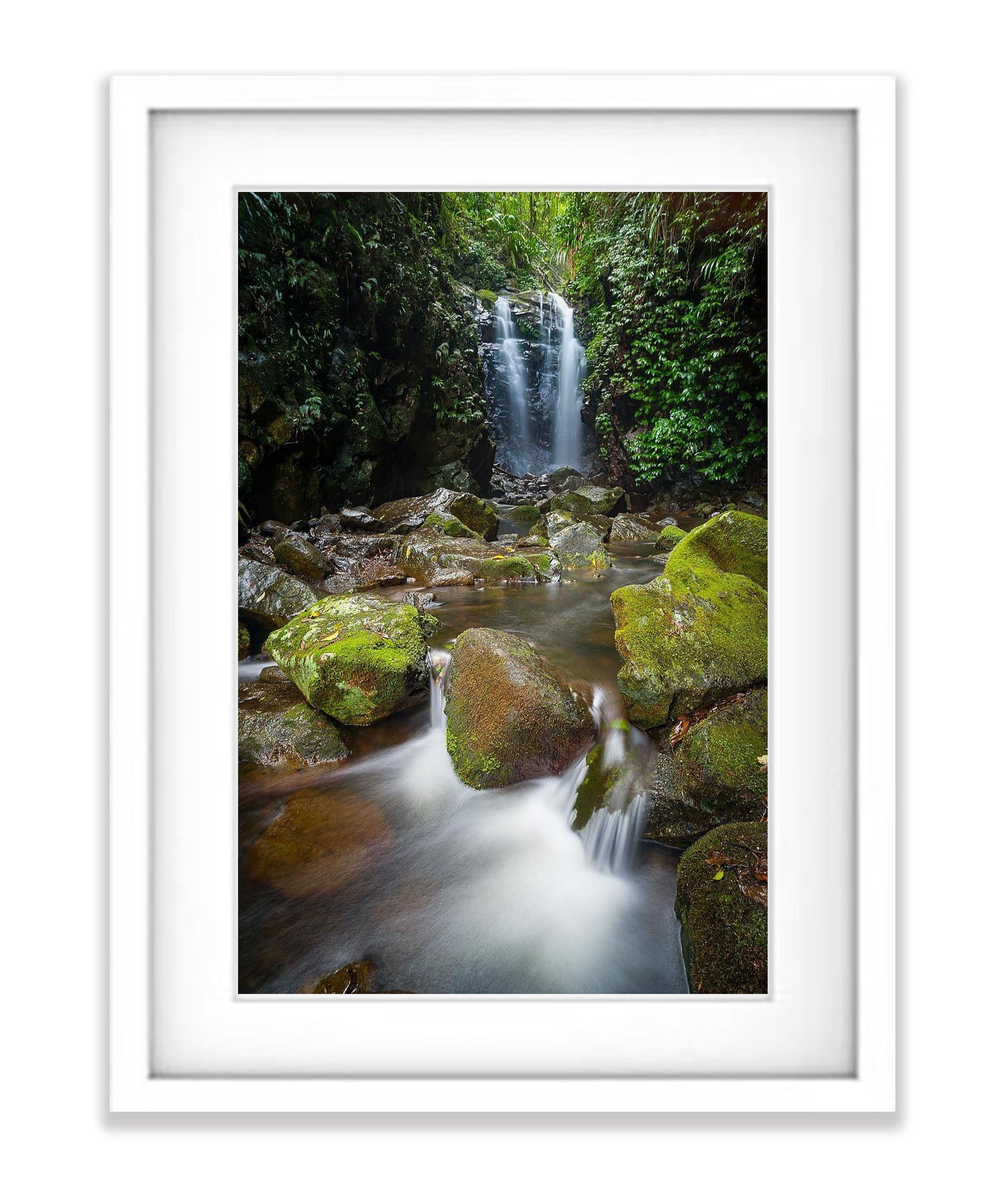 Lamington Magic - QLD