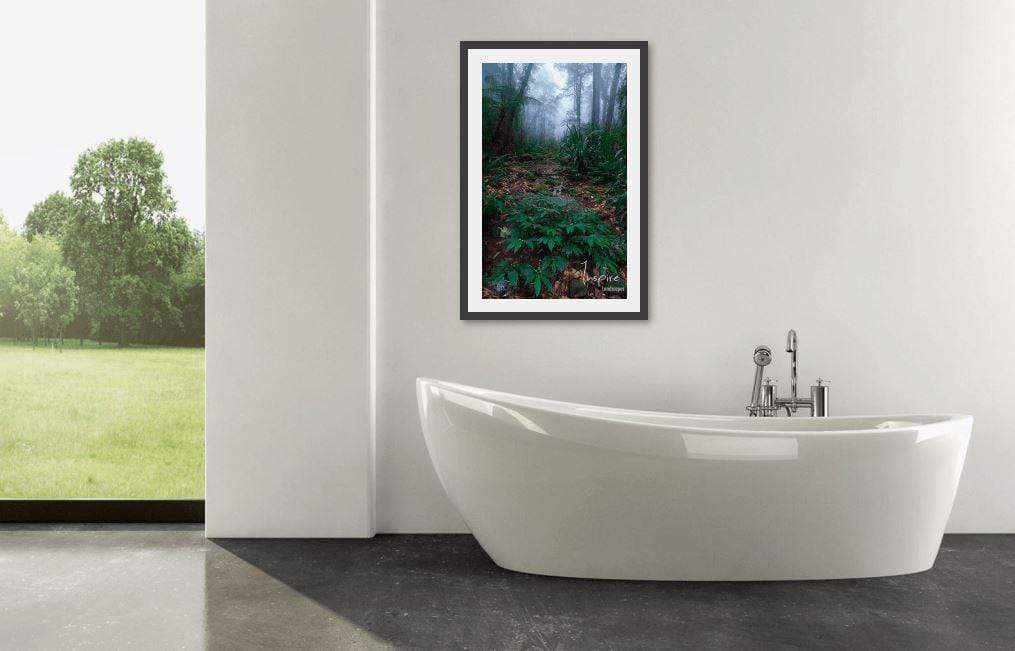 Lamington Rainforest-Tom-Putt-Landscape-Prints
