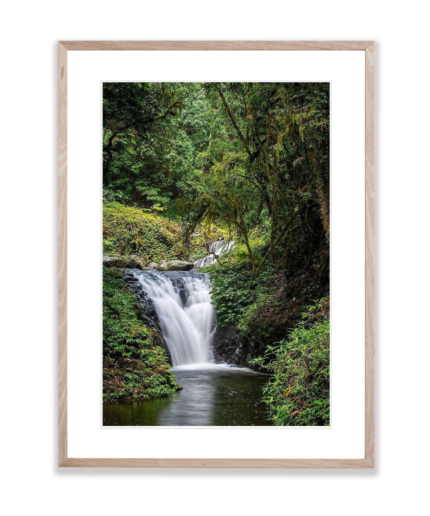 Lamington Seclusion - QLD