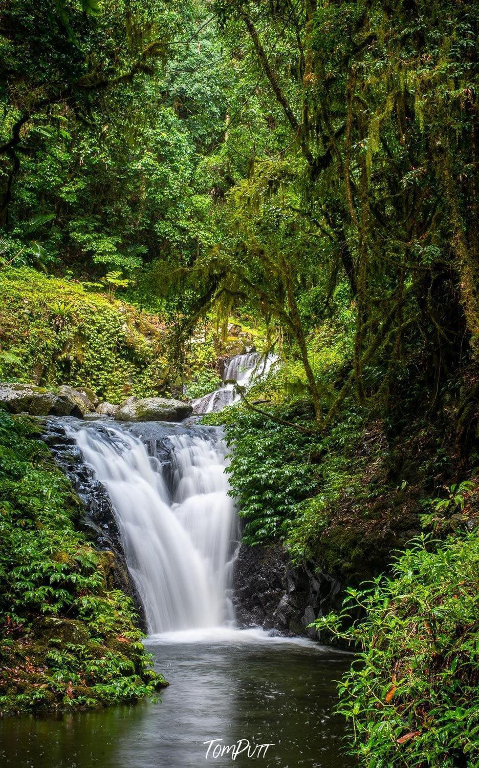 Waterfall from a green hill area in a lake, Lamington Seclusion - QLD