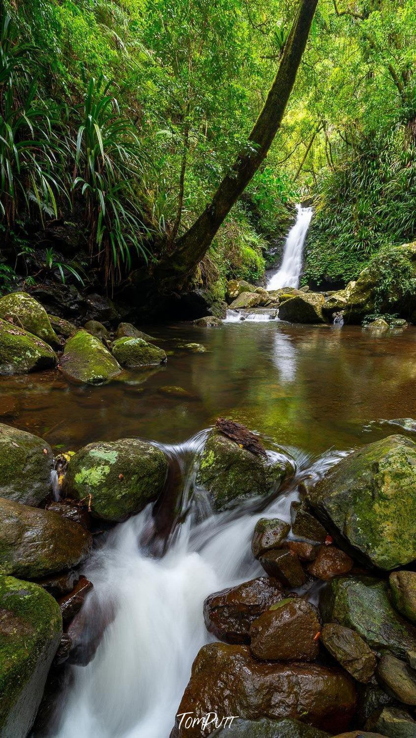 Waterfall from a green hill area in a lake, Lamington Secret - QLD