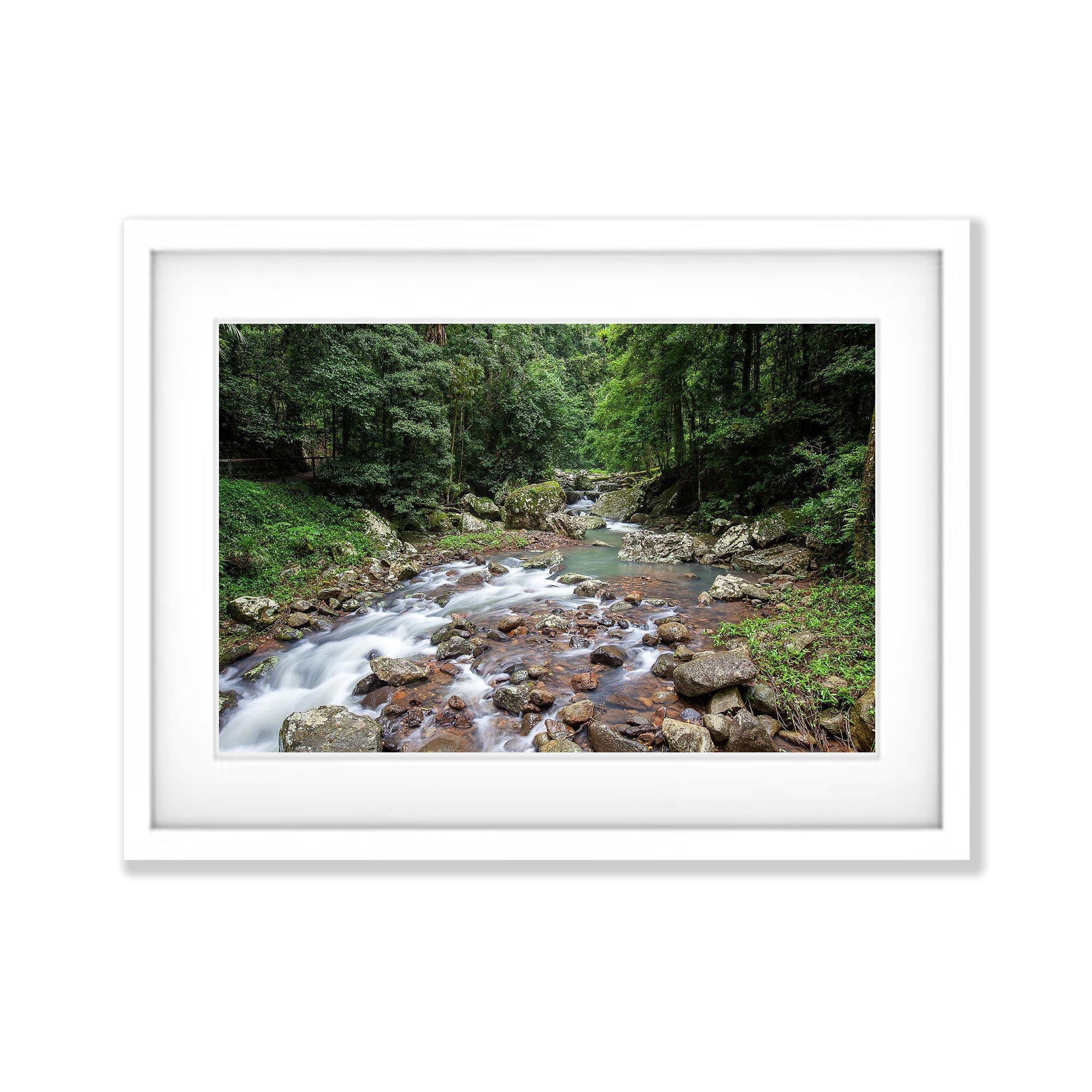 Lamington Stream - QLD