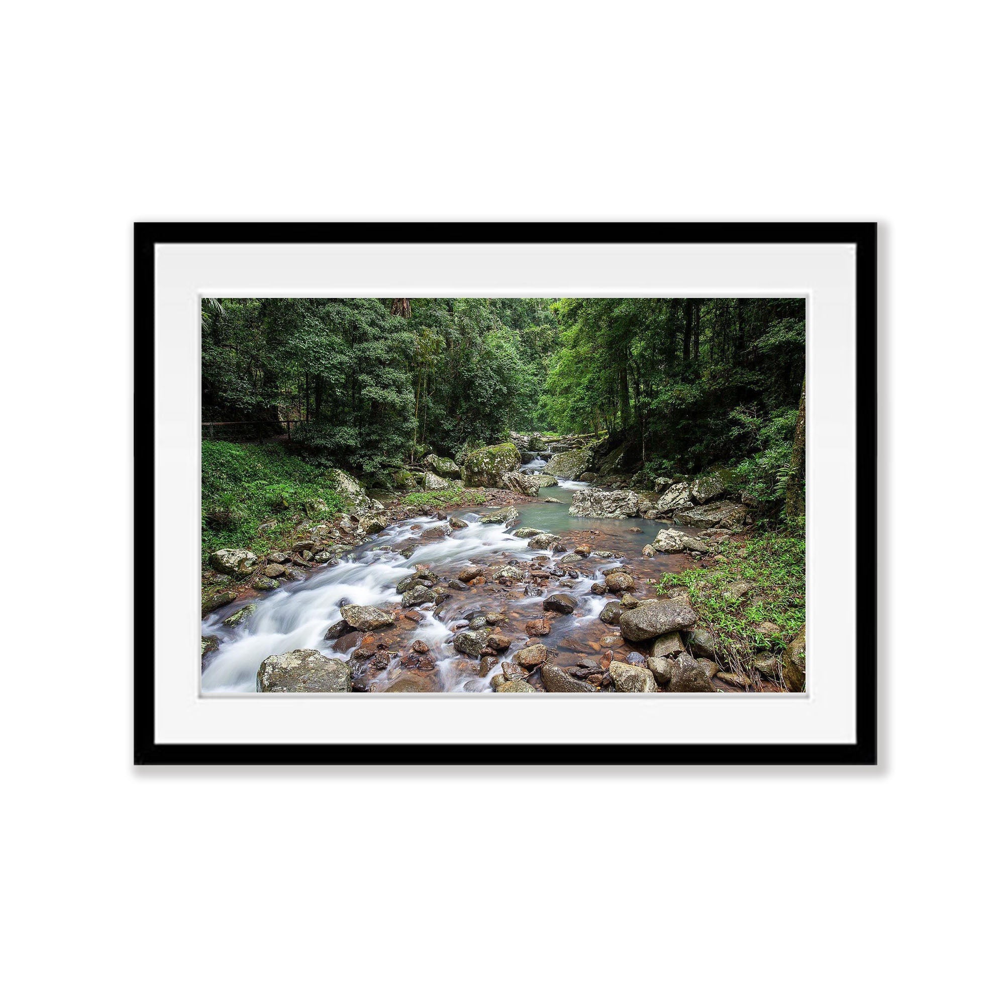 Lamington Stream - QLD