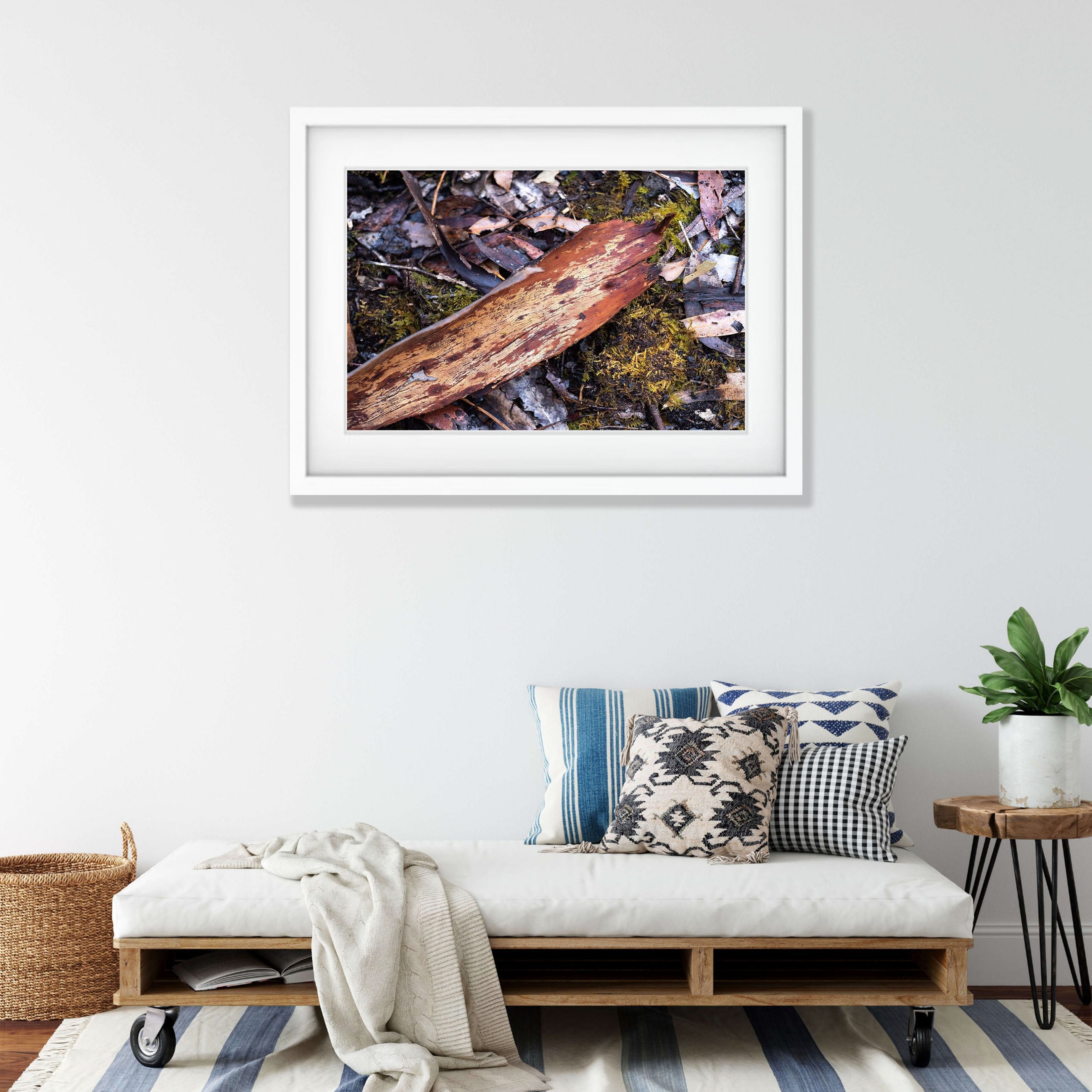 Leaf Litter No.4, Kangaroo Island, South Australia