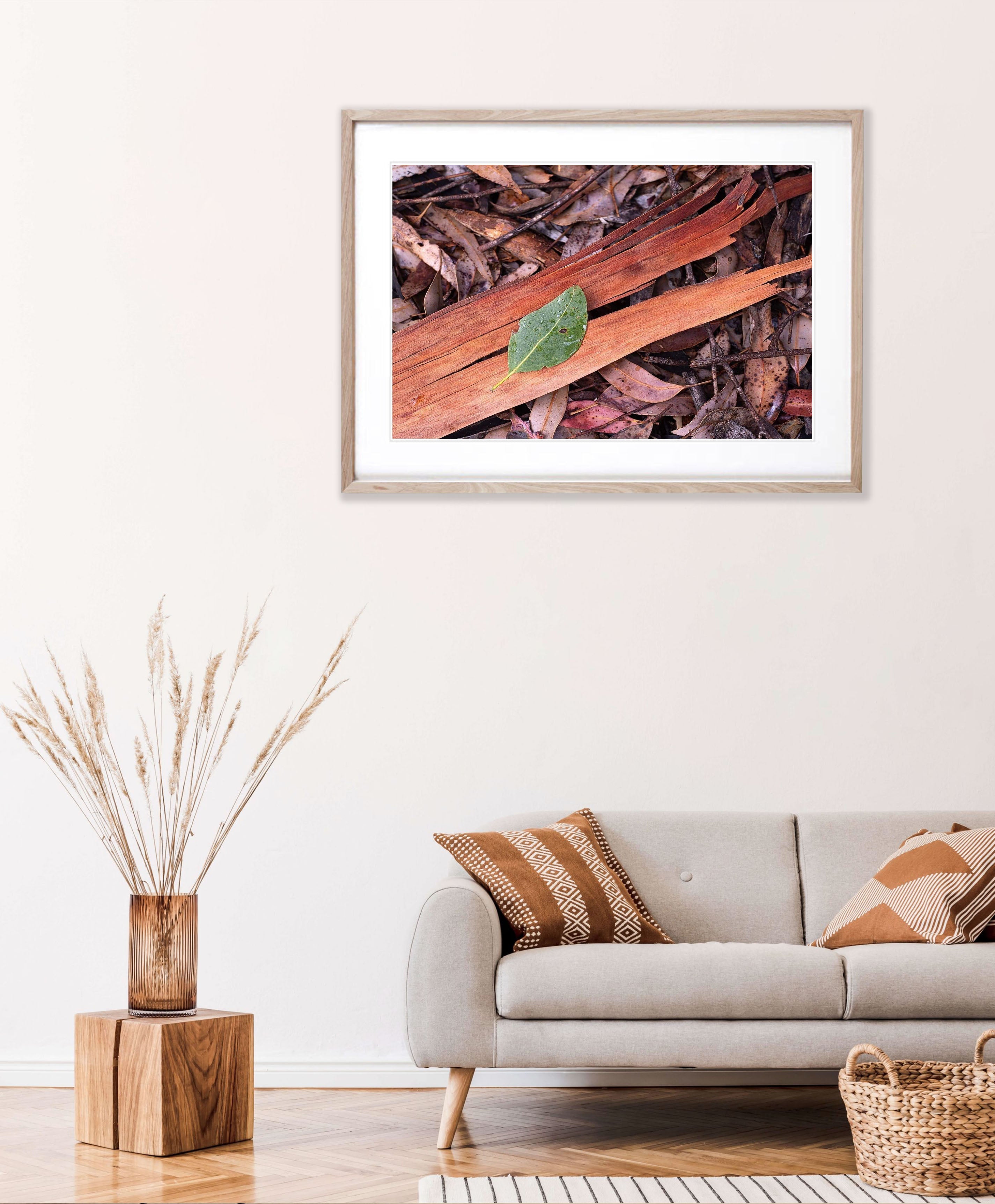 Leaf Litter, Kangaroo Island, South Australia