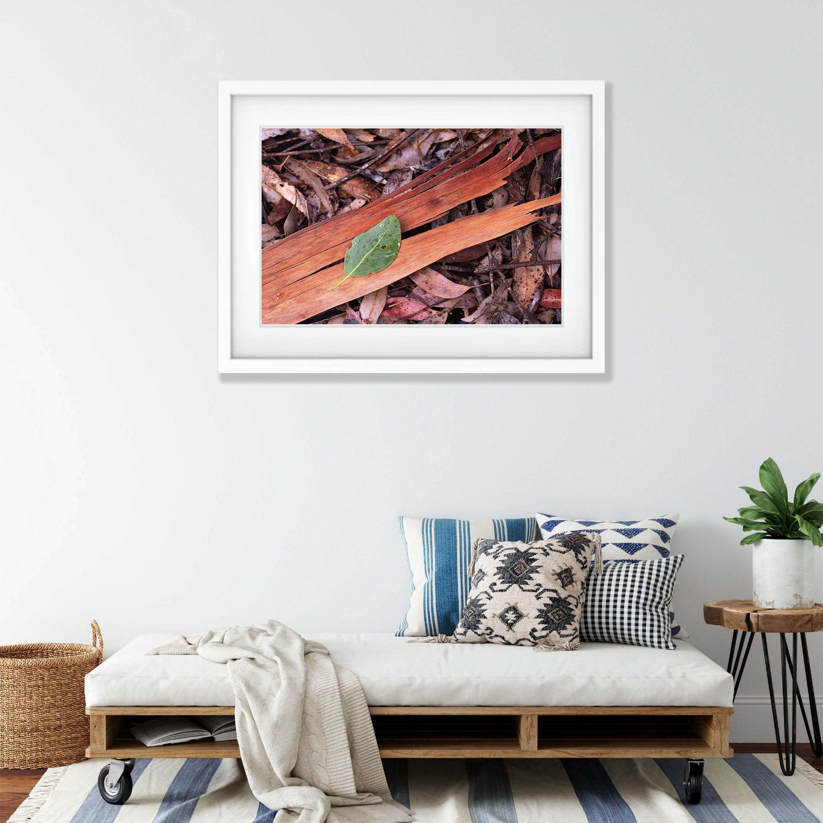 Leaf Litter, Kangaroo Island, South Australia