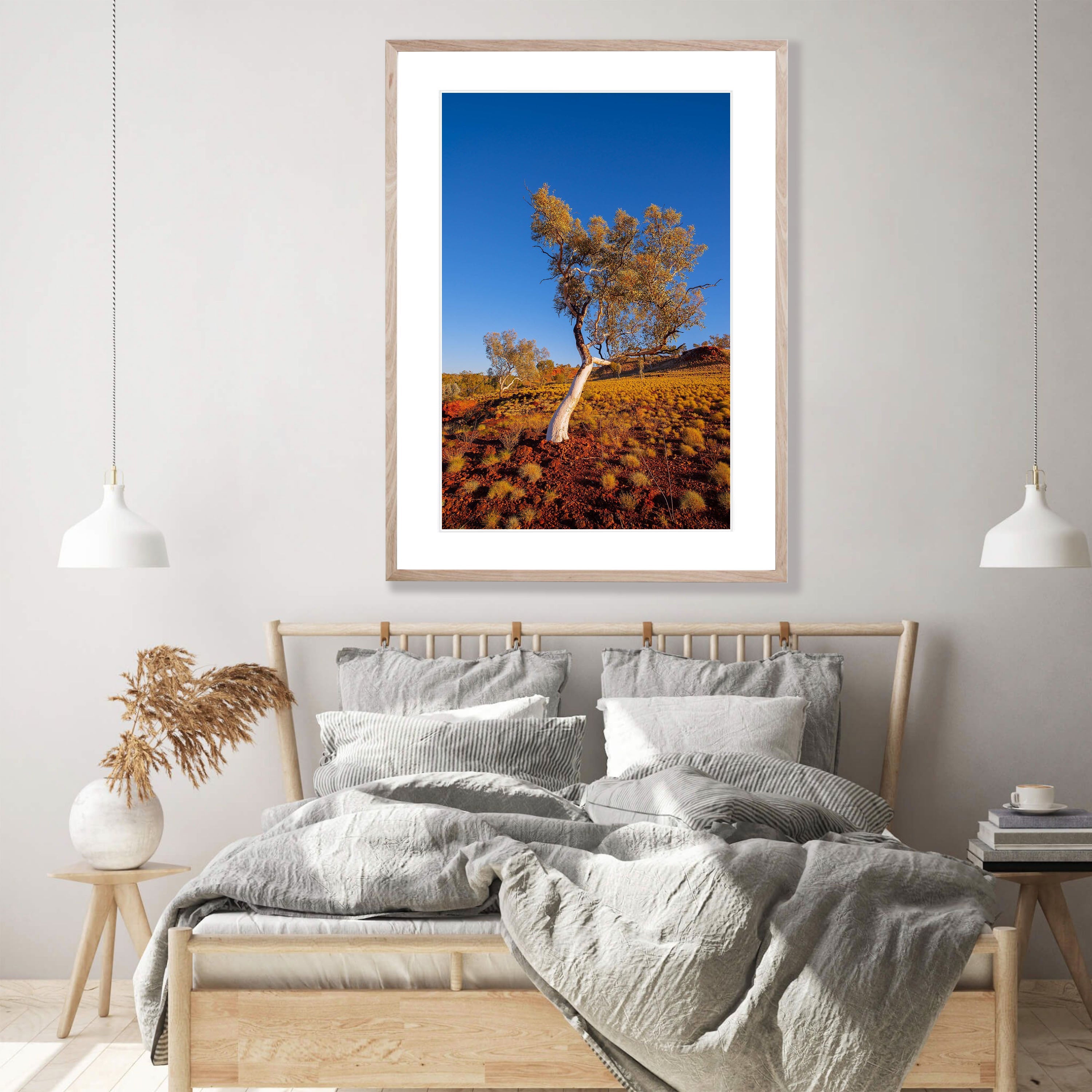 Leaning Snappy Gum, Karijini, The Pilbara