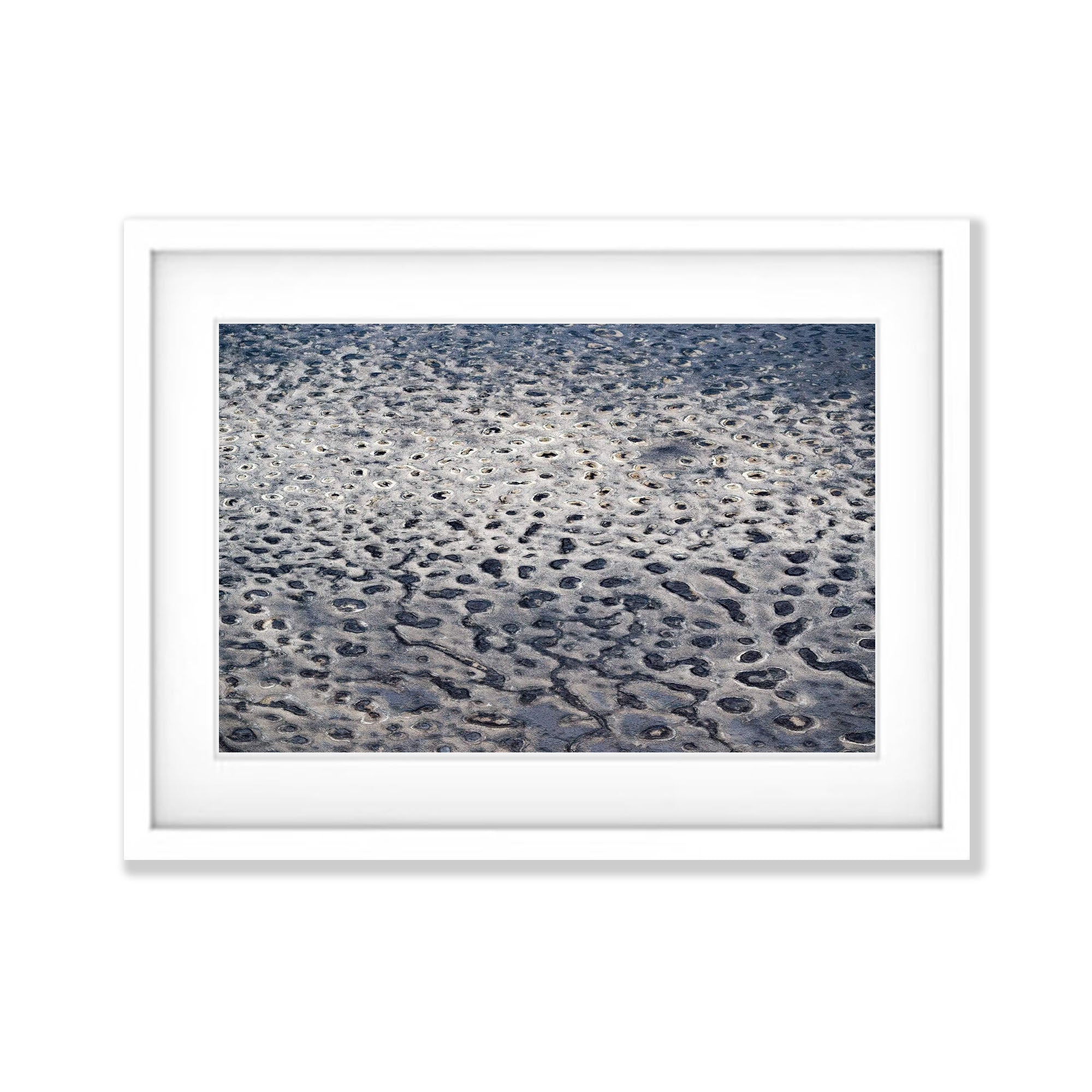 Leopard Landscape