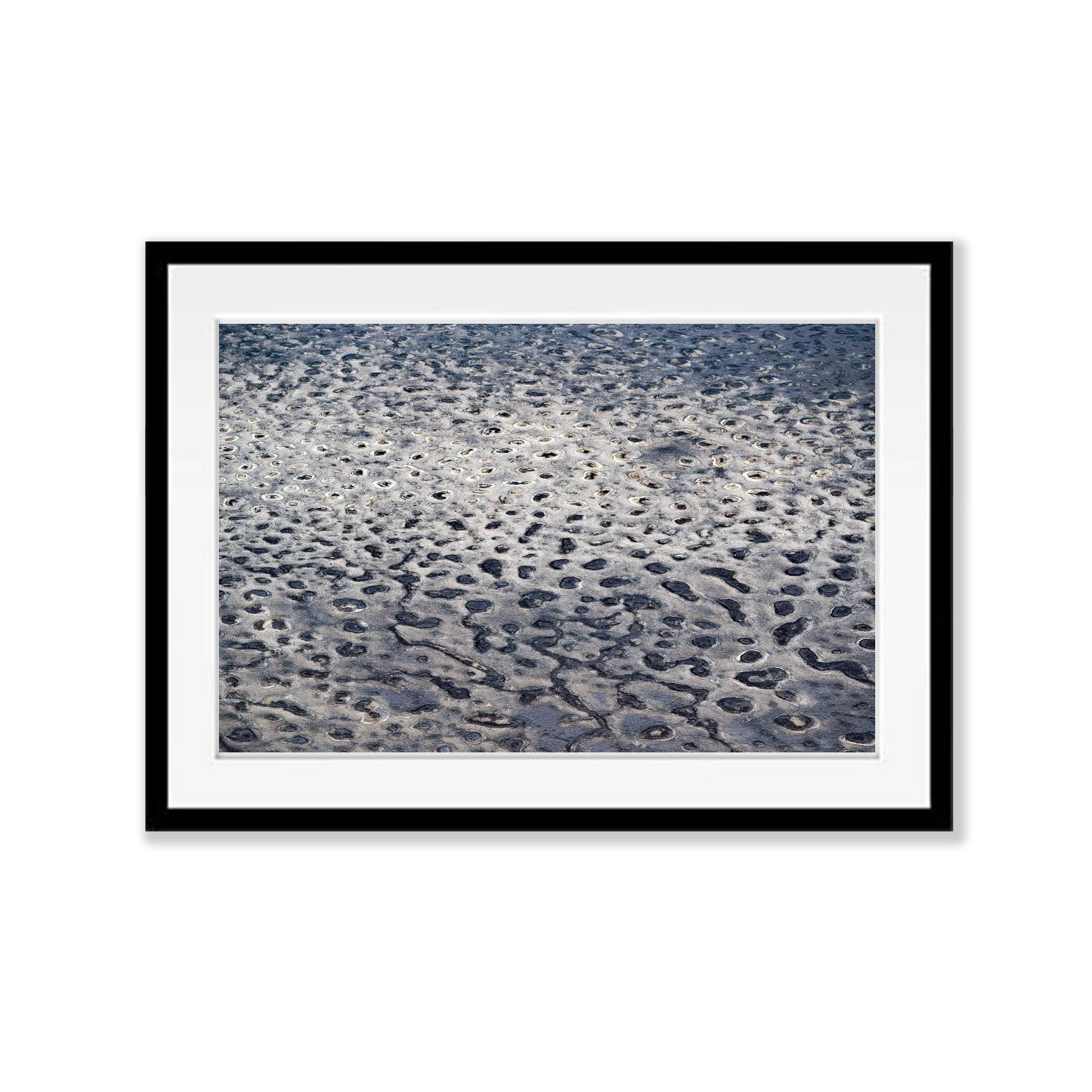 Leopard Landscape