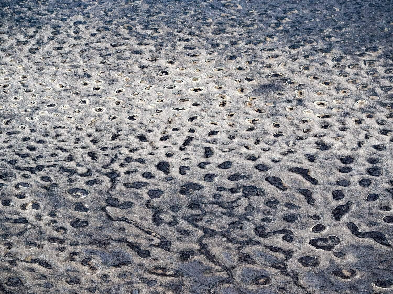 A wax-like texture with white and greyish colors making a leopard skin-like surface, Leopard Landscape