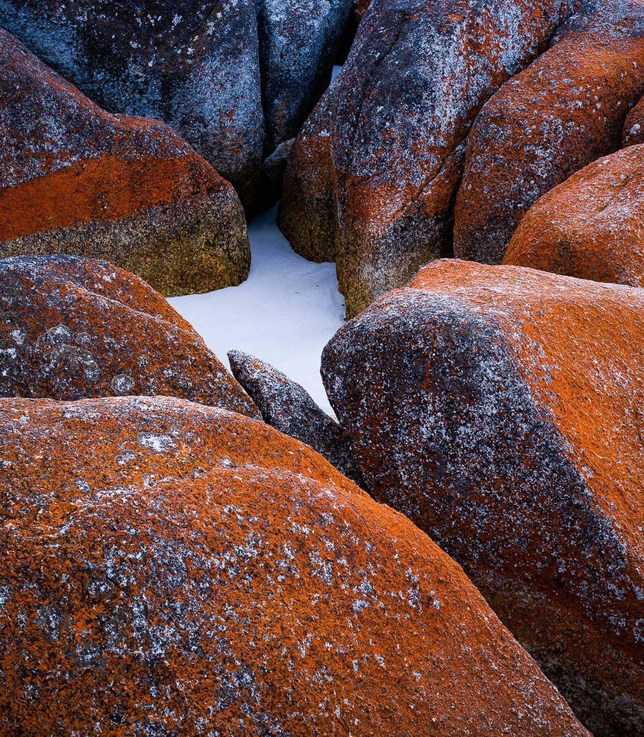 A circular group of large reddish stones, with some snow in the center deep area, Lichen Rocks, Bay of Fires  