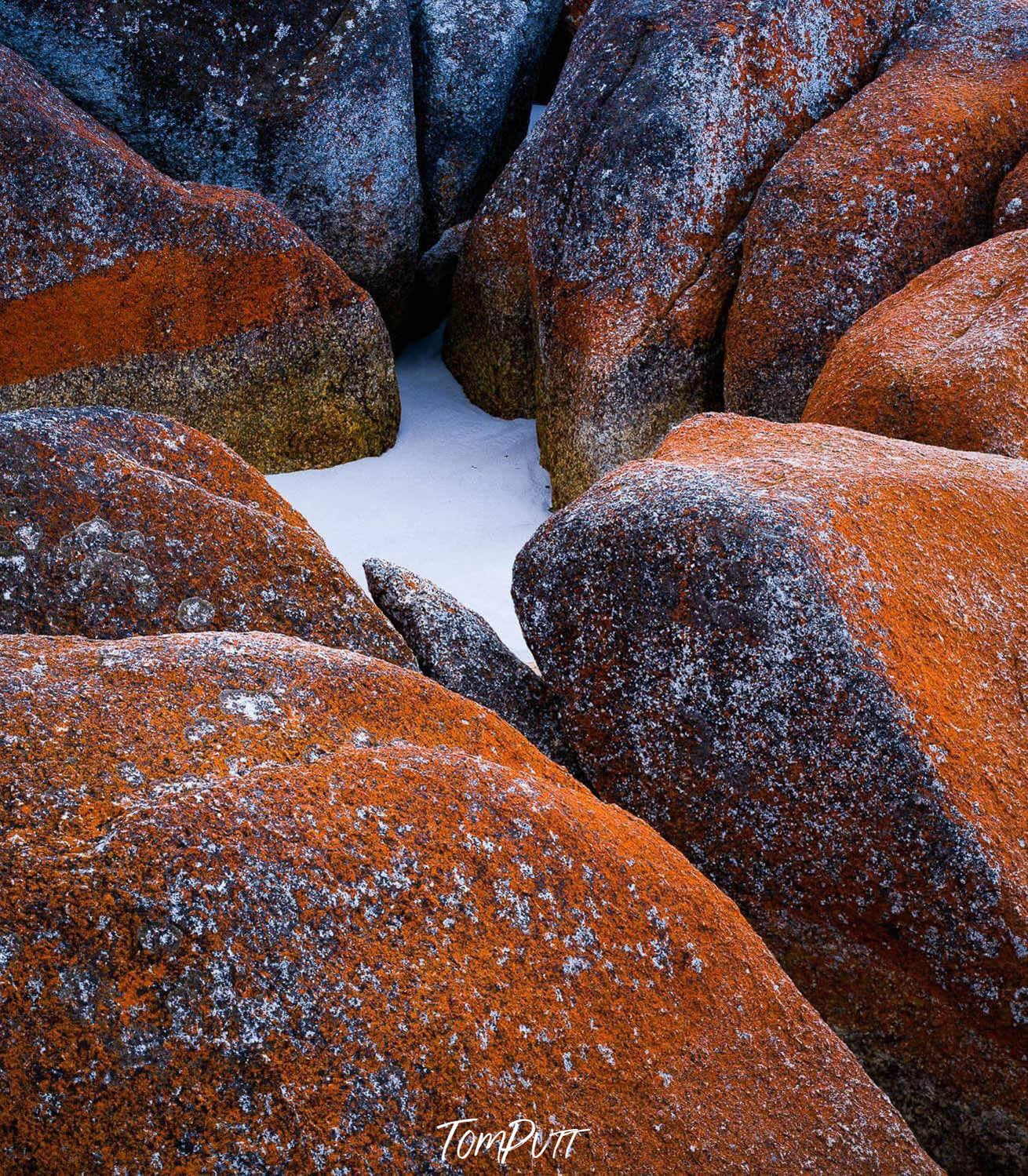 A circular group of large reddish stones, with some snow in the center deep area, Lichen Rocks, Bay of Fires