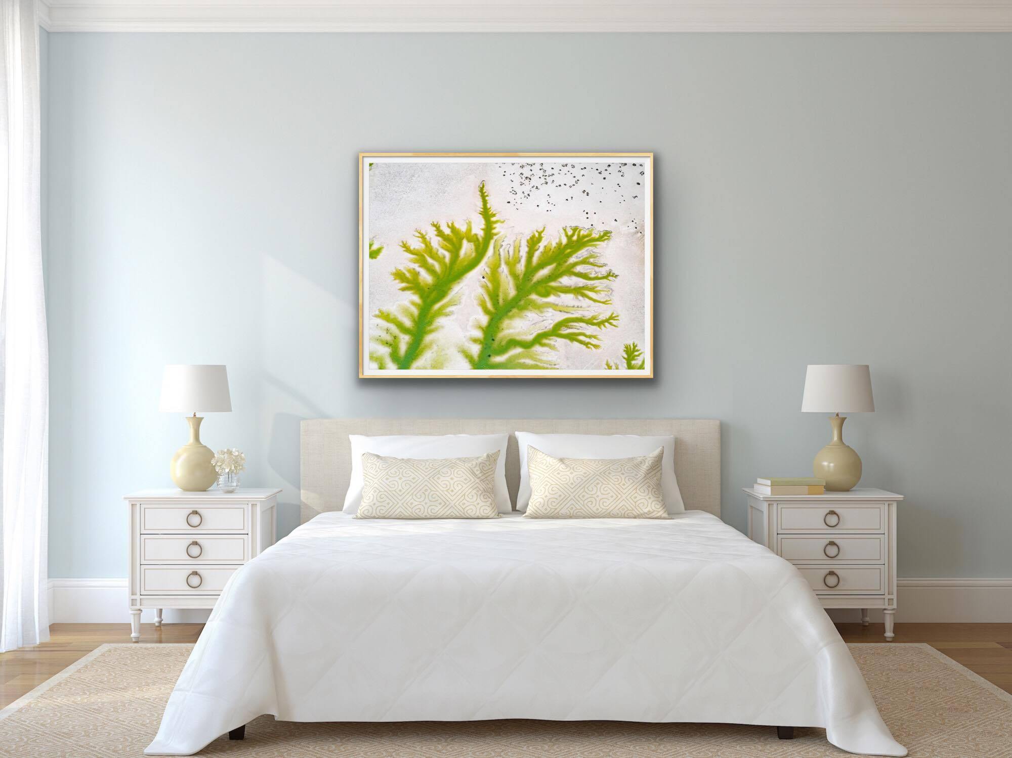 Lime art