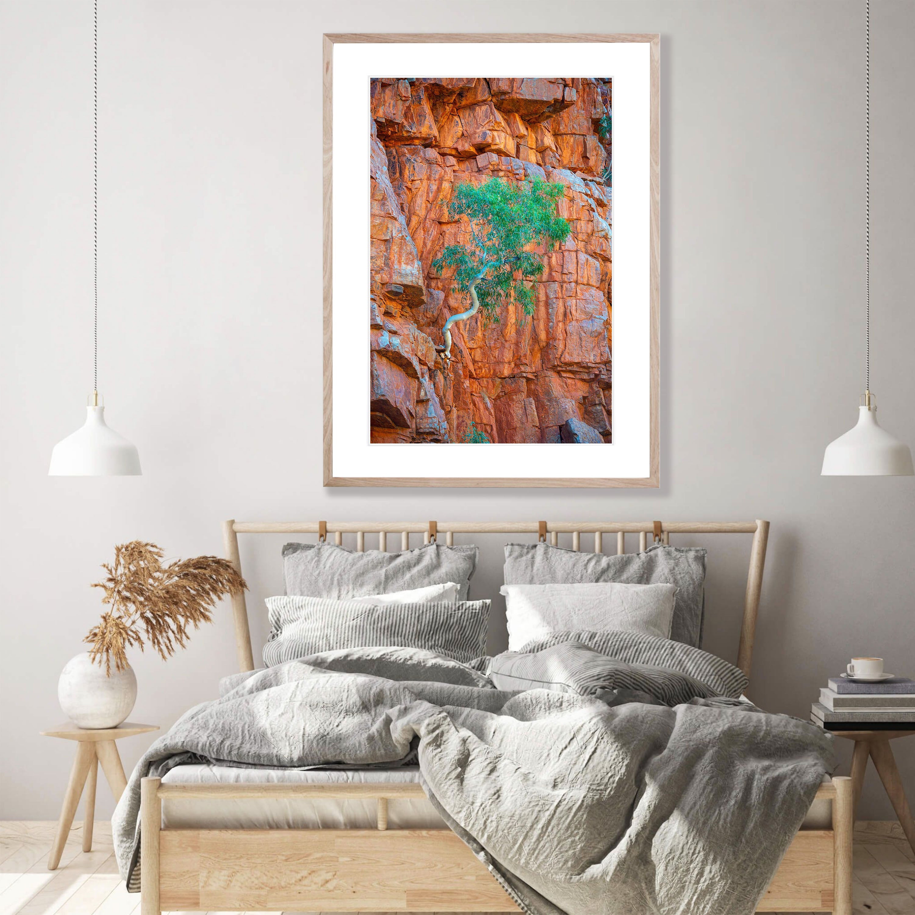 Lone Ghost Gum hanging from a cliff, Ormiston Gorge, West MacDonnell Ranges - Northern Territory