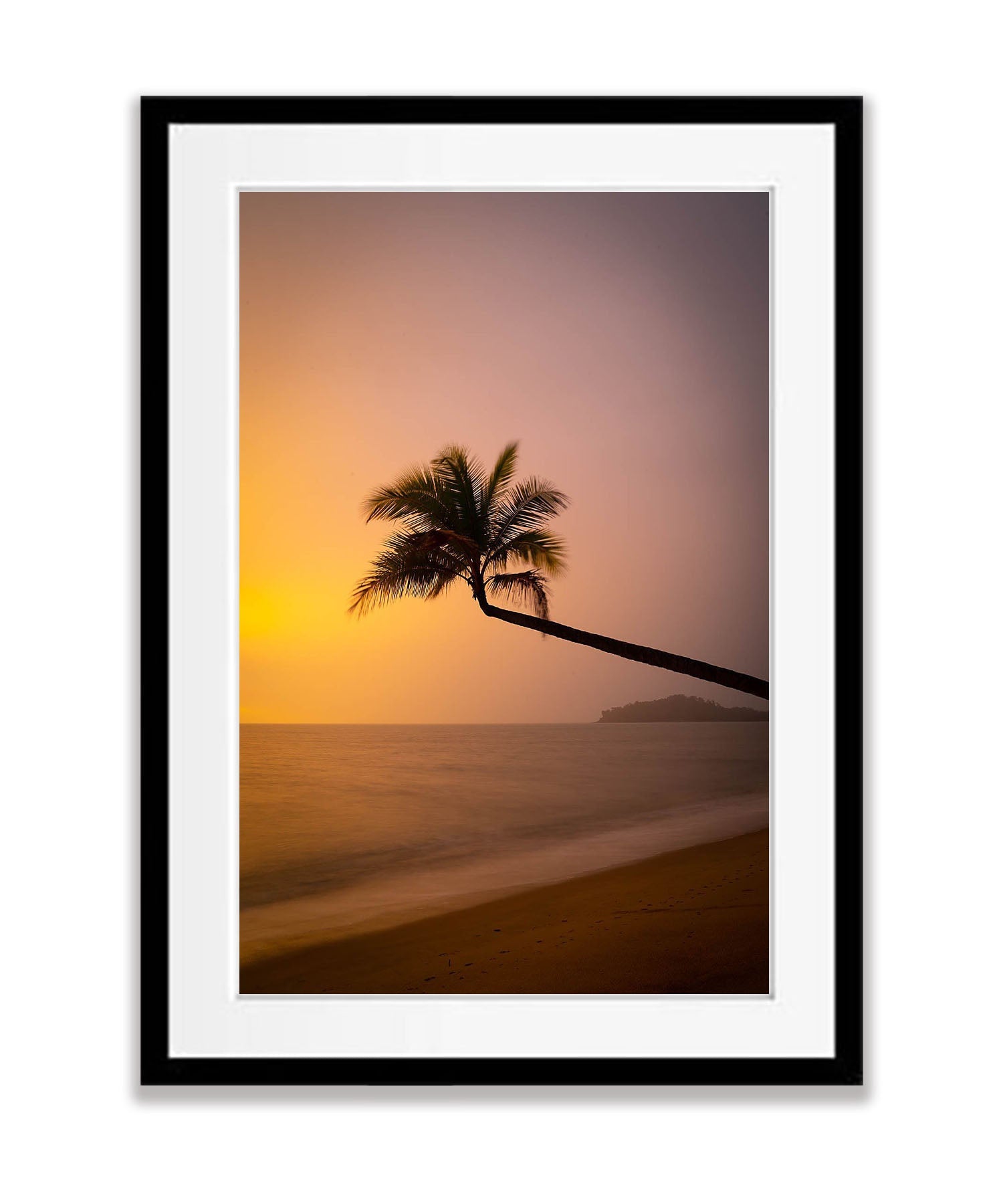Lone Palm tree over the beach, Palm Cove, Far North Queensland
