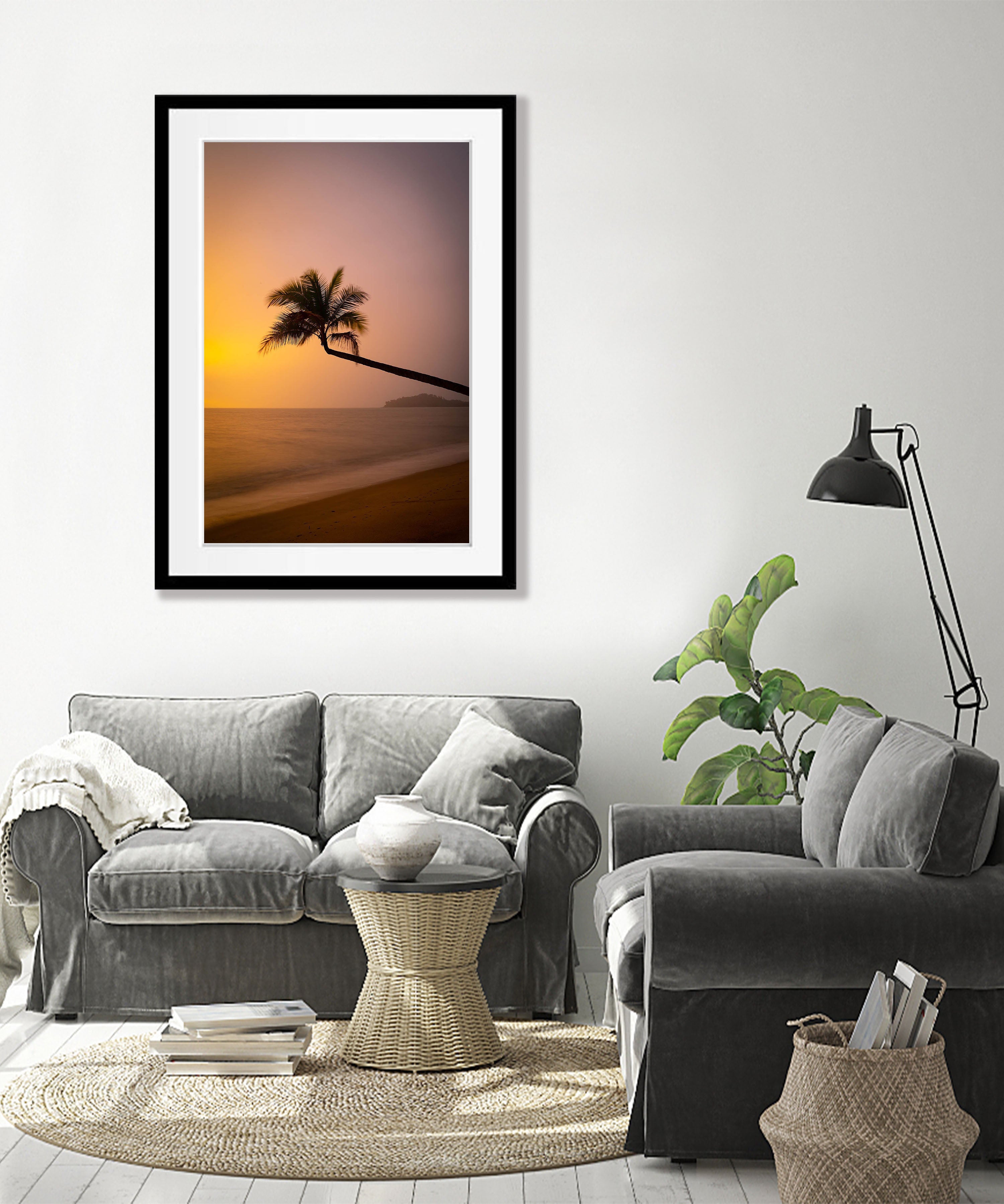 Lone Palm tree over the beach, Palm Cove, Far North Queensland