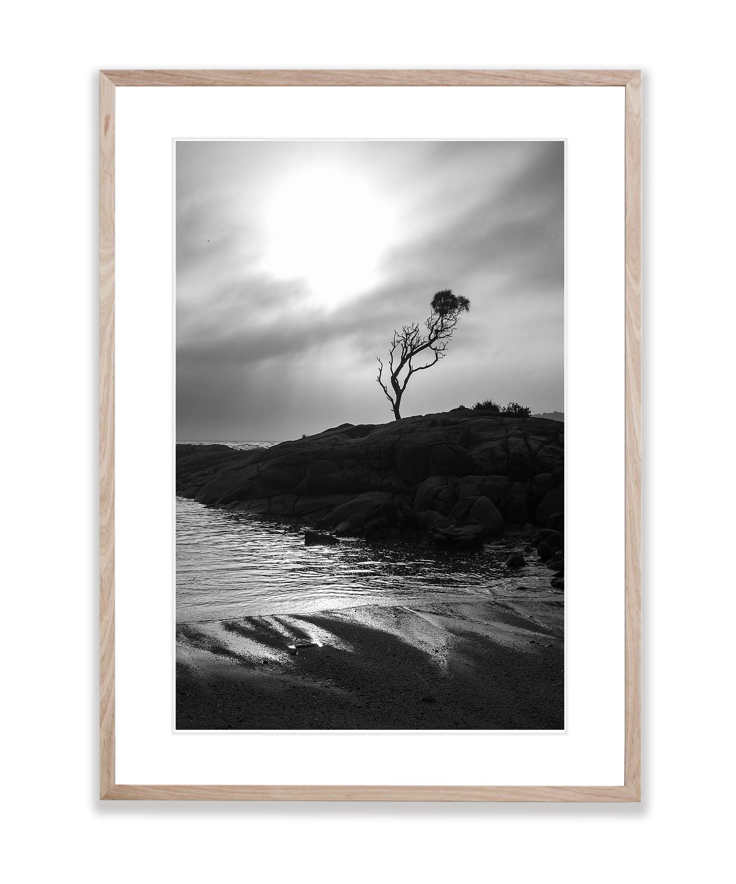 Lone Tree, Binnalong Bay, Bay of Fires