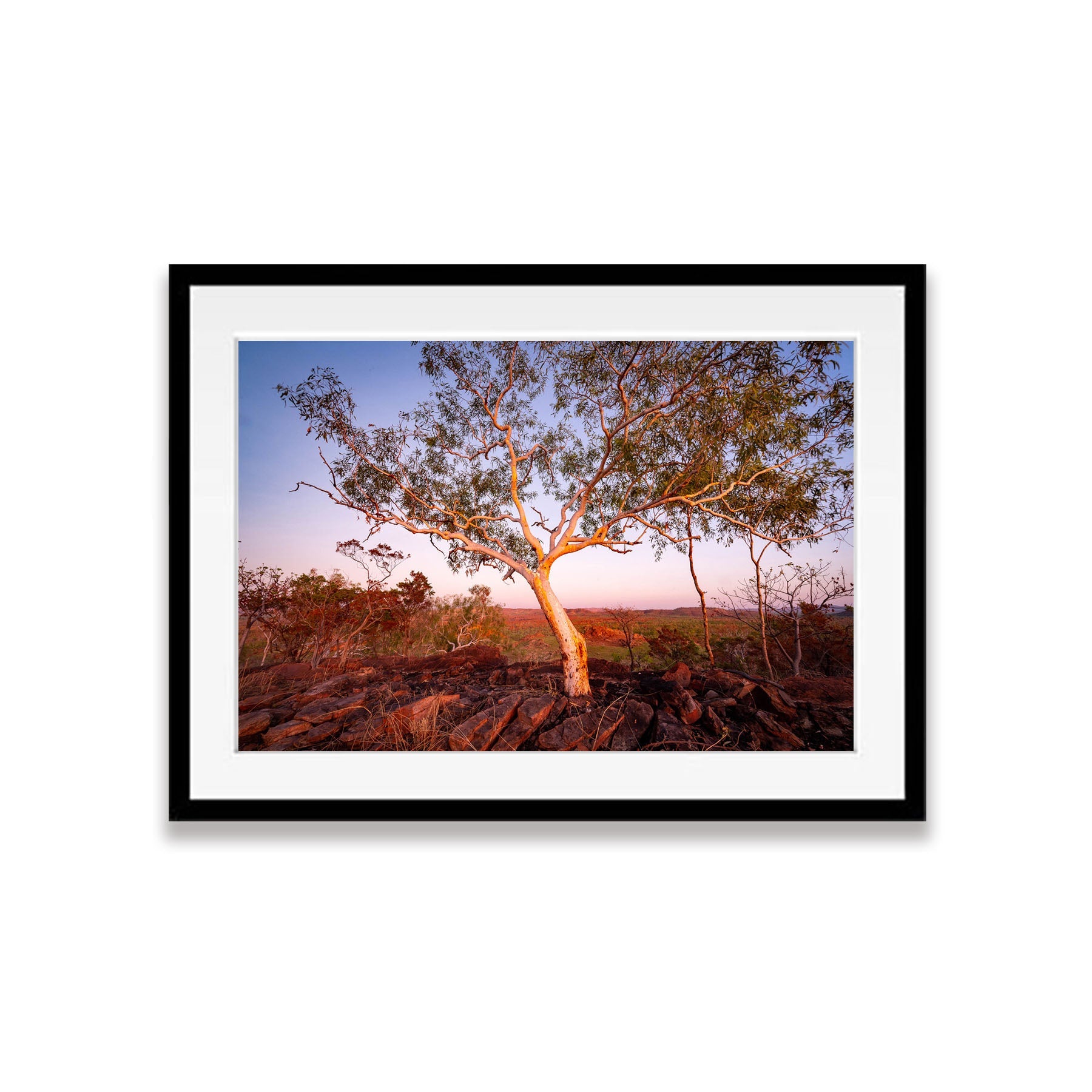 Lone Tree, Keep River NP