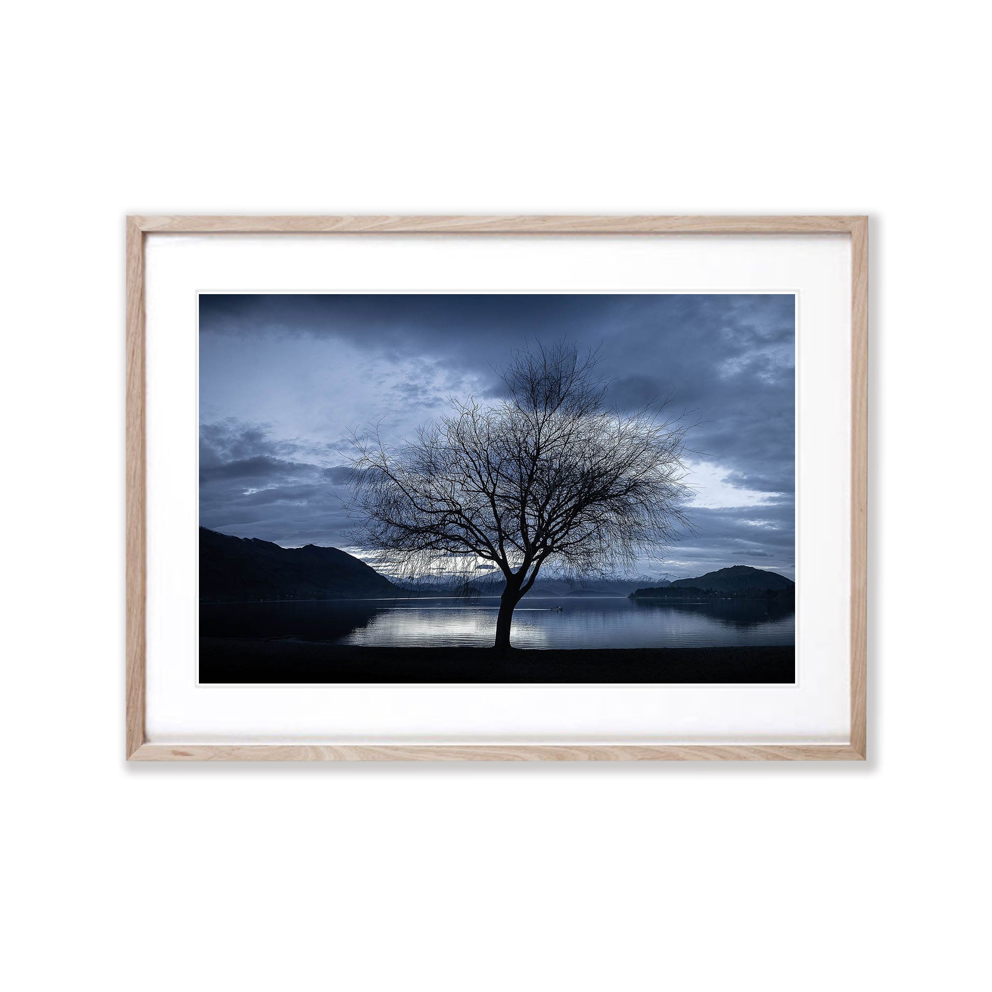 Lone Tree, Lake Wanaka, New Zealand