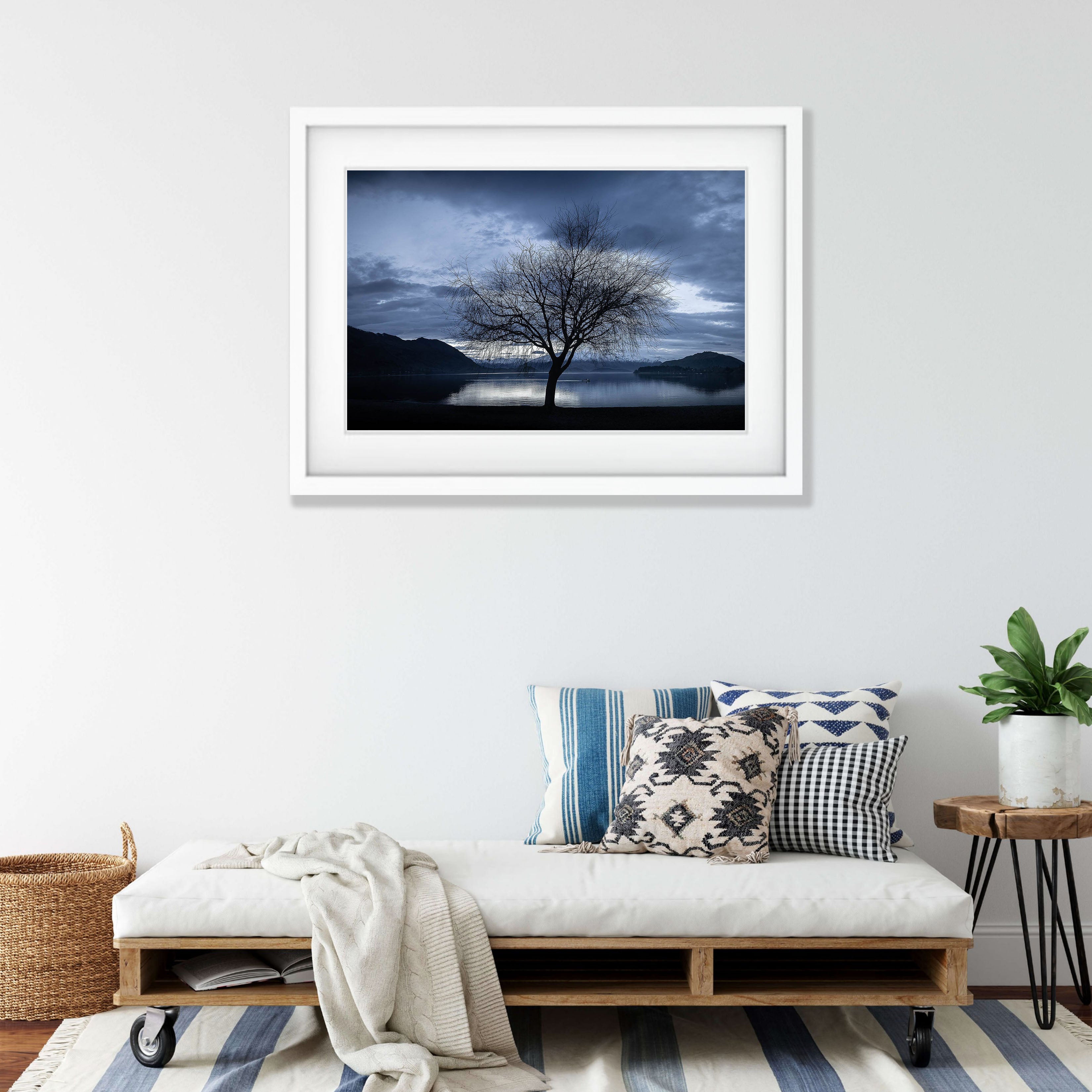 Lone Tree, Lake Wanaka, New Zealand