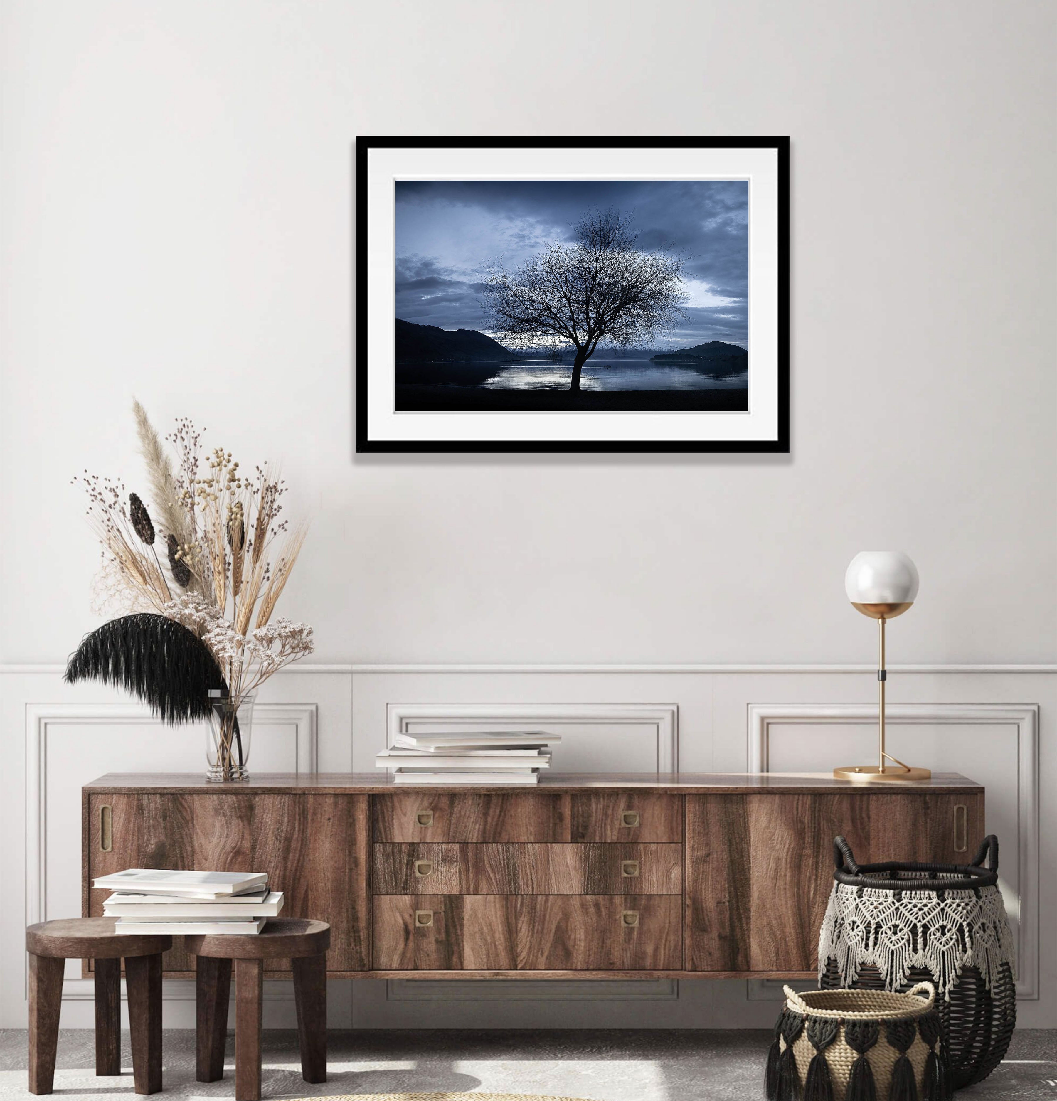 Lone Tree, Lake Wanaka, New Zealand