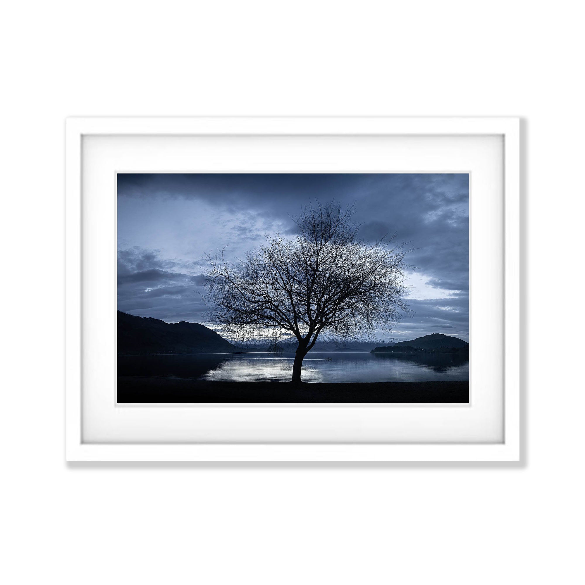 Lone Tree, Lake Wanaka, New Zealand