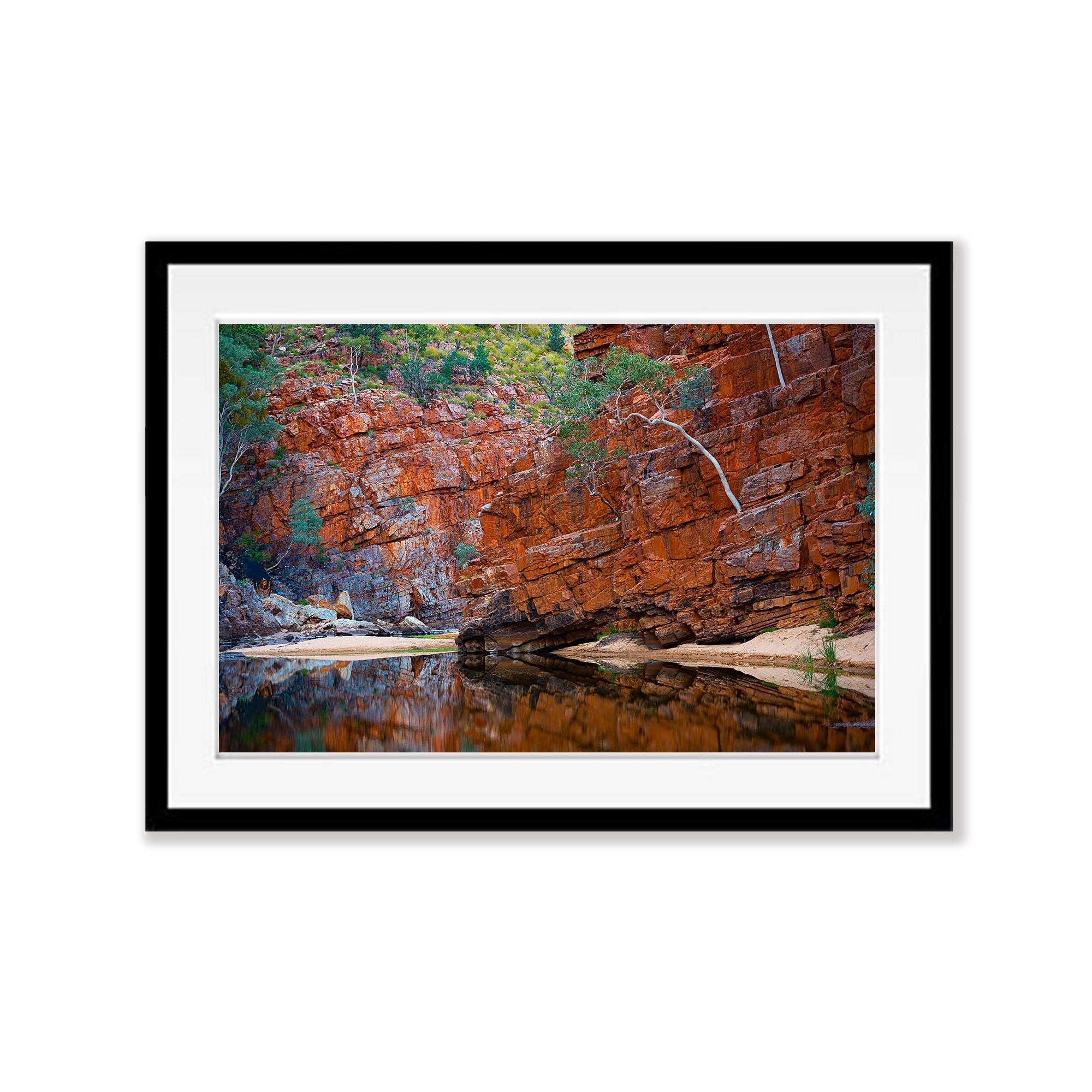 Lone Tree, Ormiston Gorge - Red Centre NT