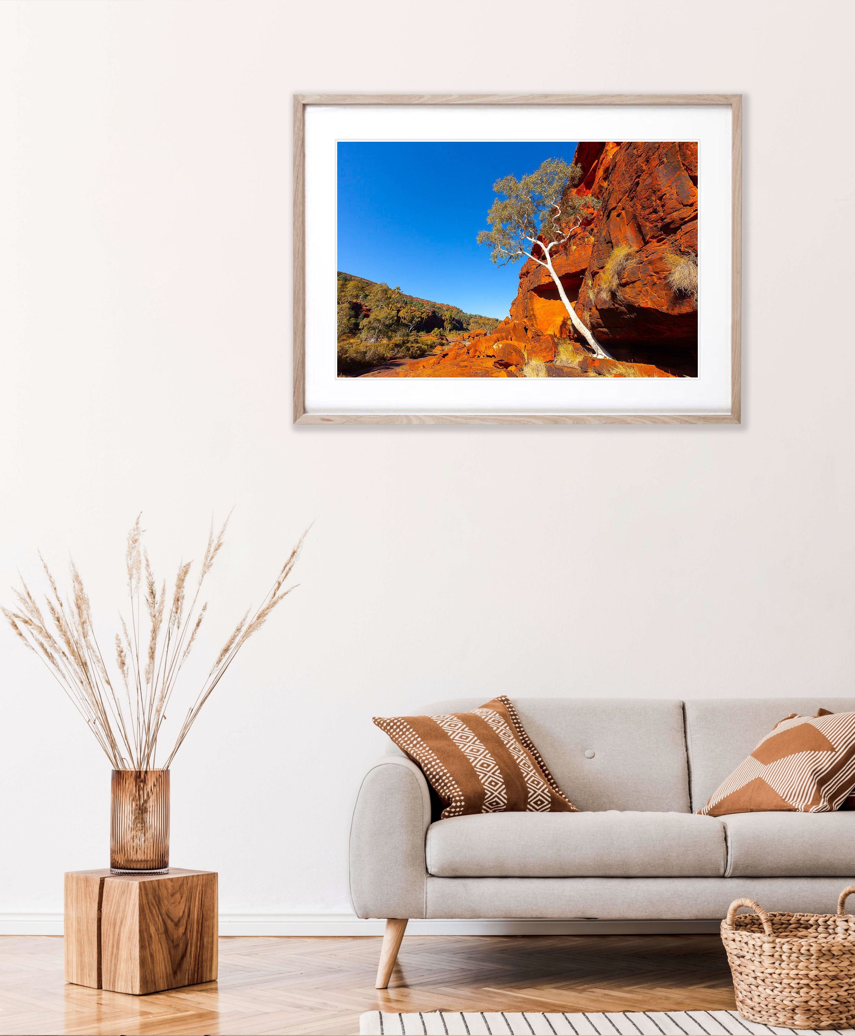 Lone Tree, Palm Valley Finke Gorge National Park - Northern Territory
