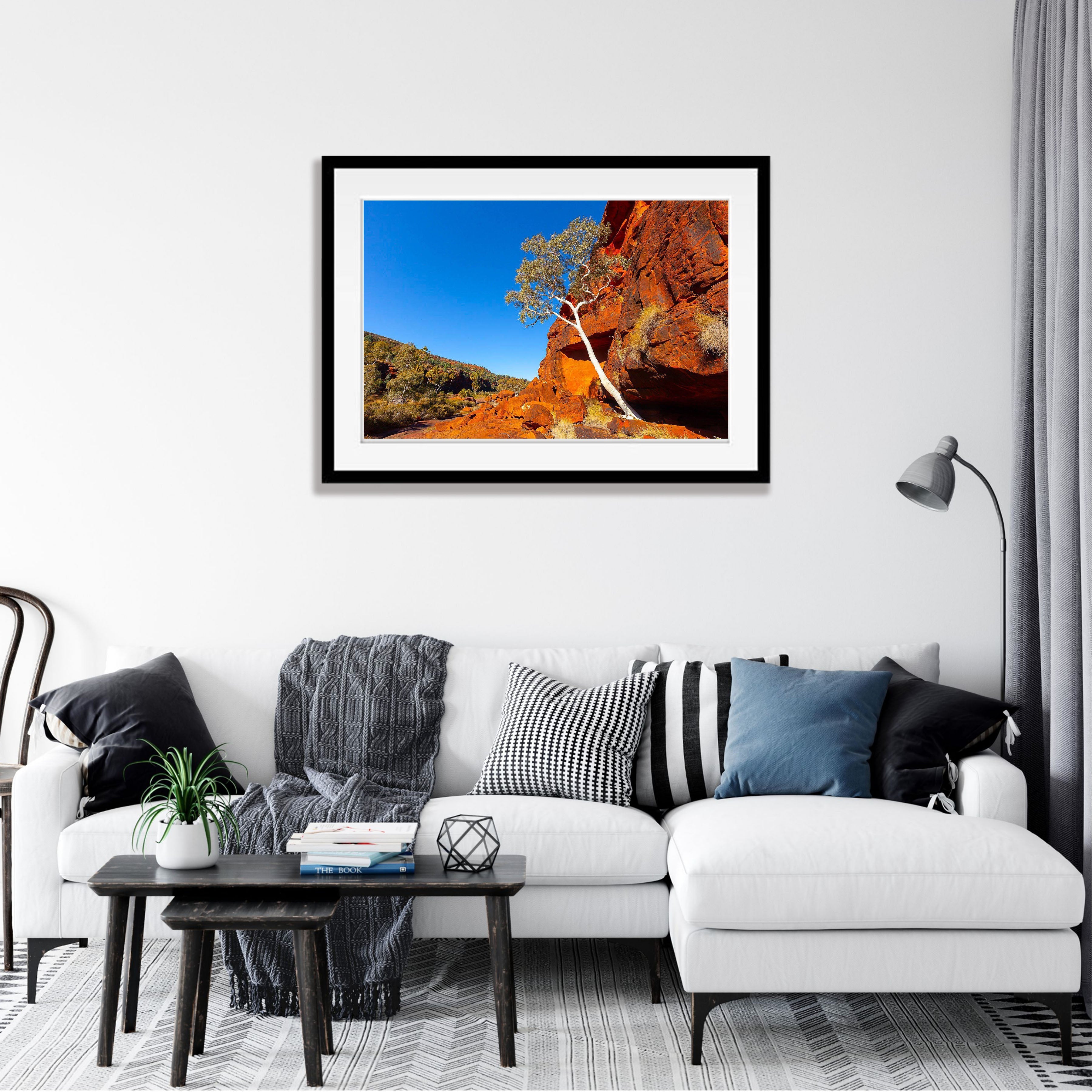 Lone Tree, Palm Valley Finke Gorge National Park - Northern Territory