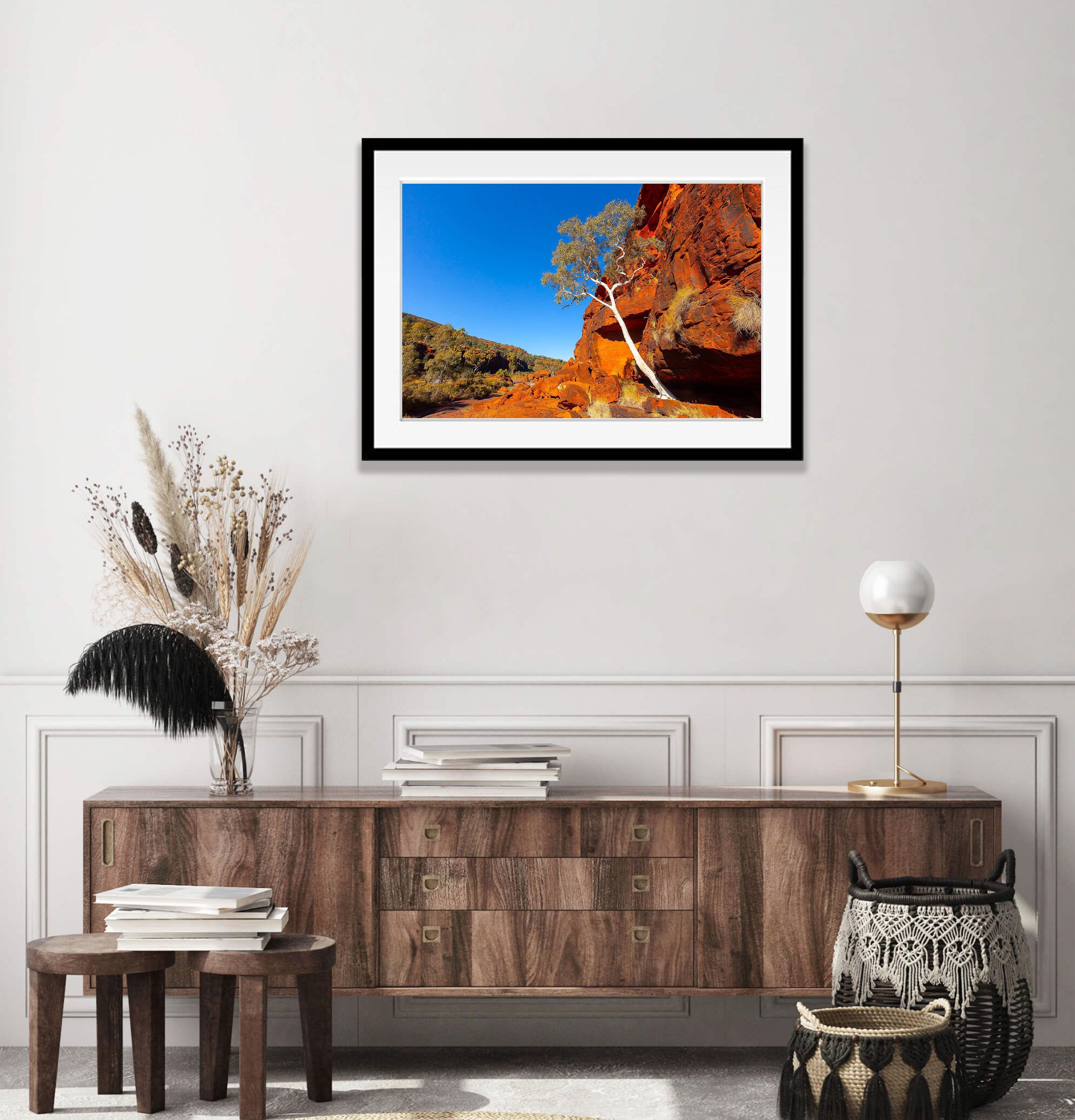 Lone Tree, Palm Valley Finke Gorge National Park - Northern Territory