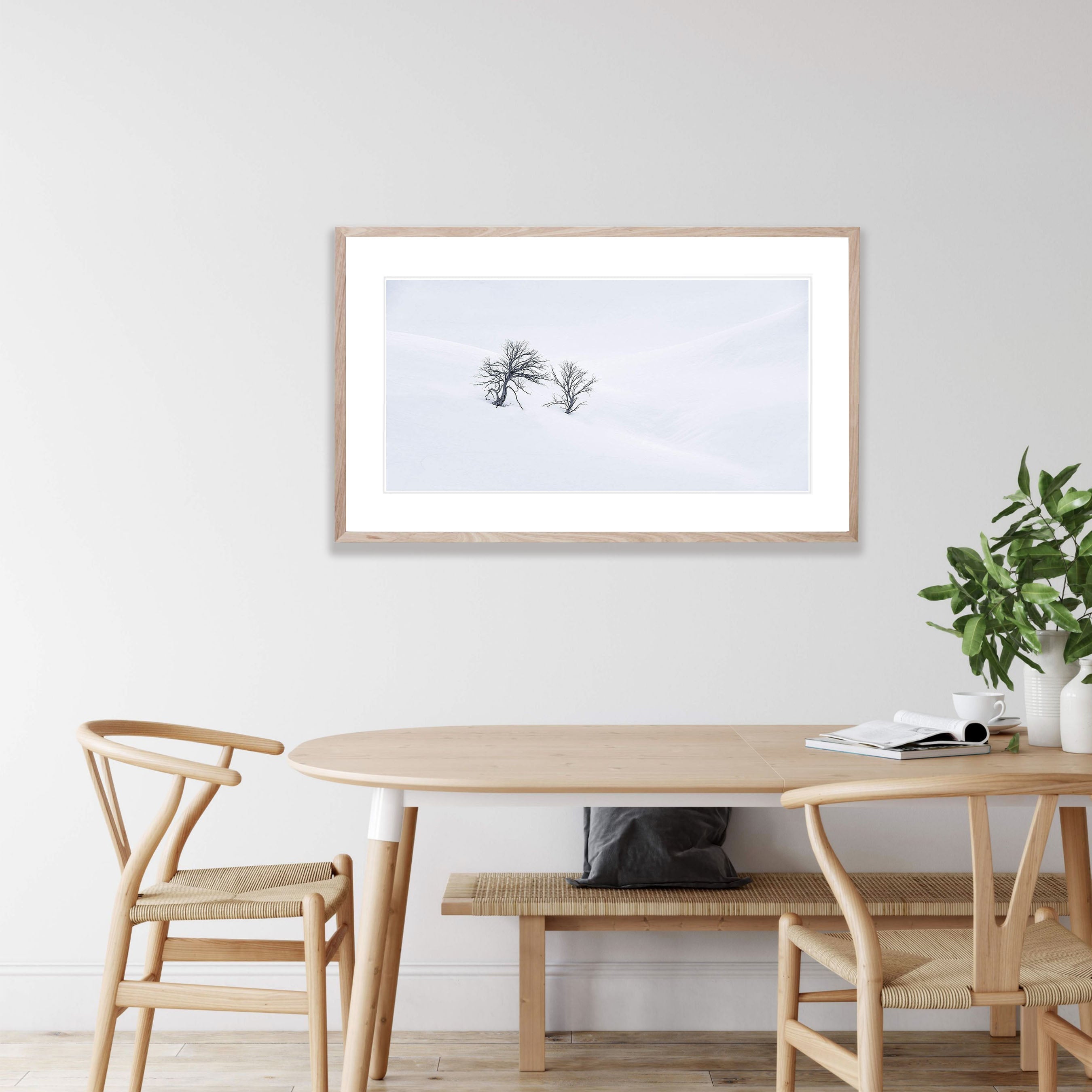 Lone Trees at Guthega - Snowy Mountains NSW