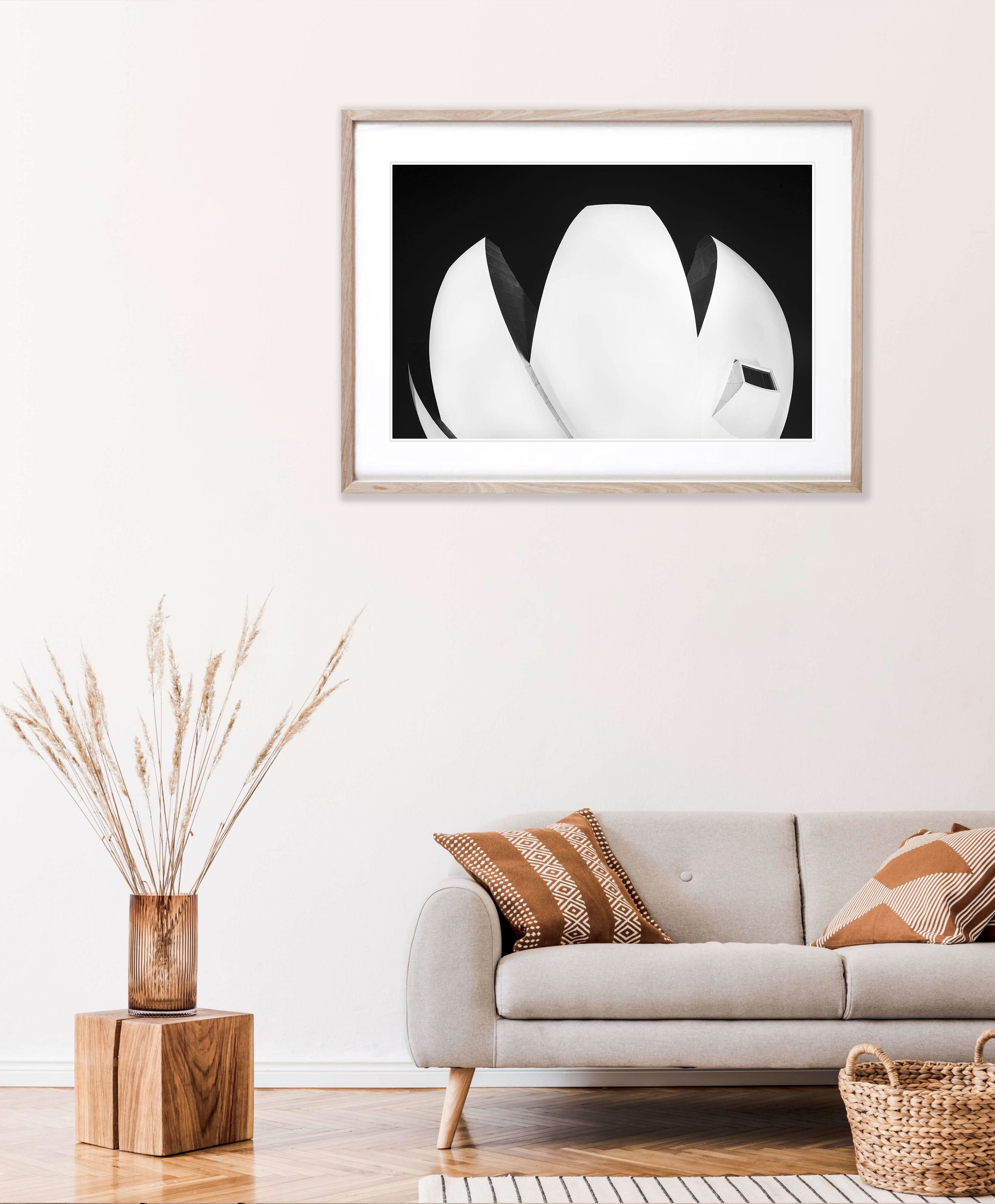 Lotus Leaf